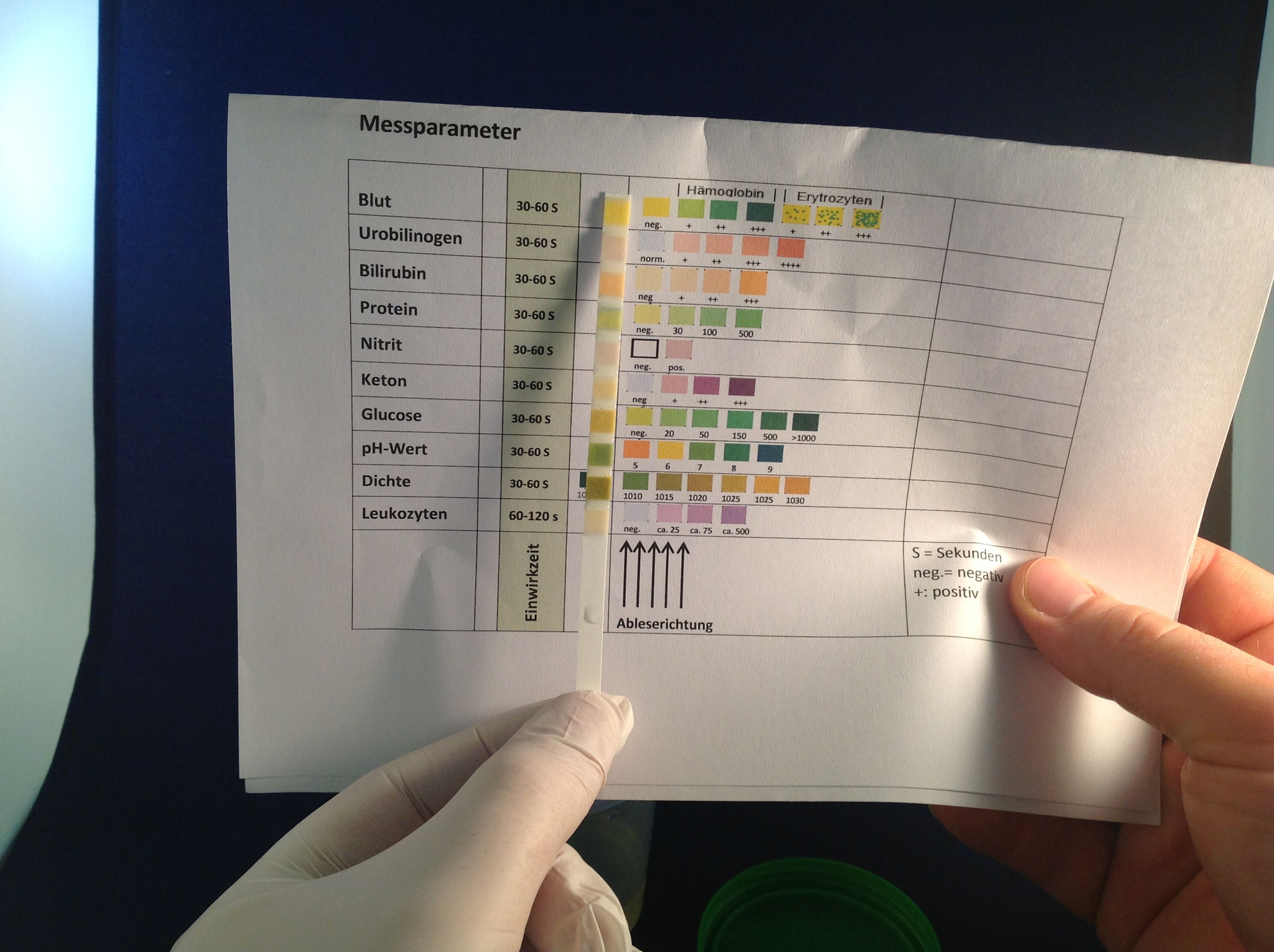 Urintest WolfsConcept für den Wolf in Ihrem Hund