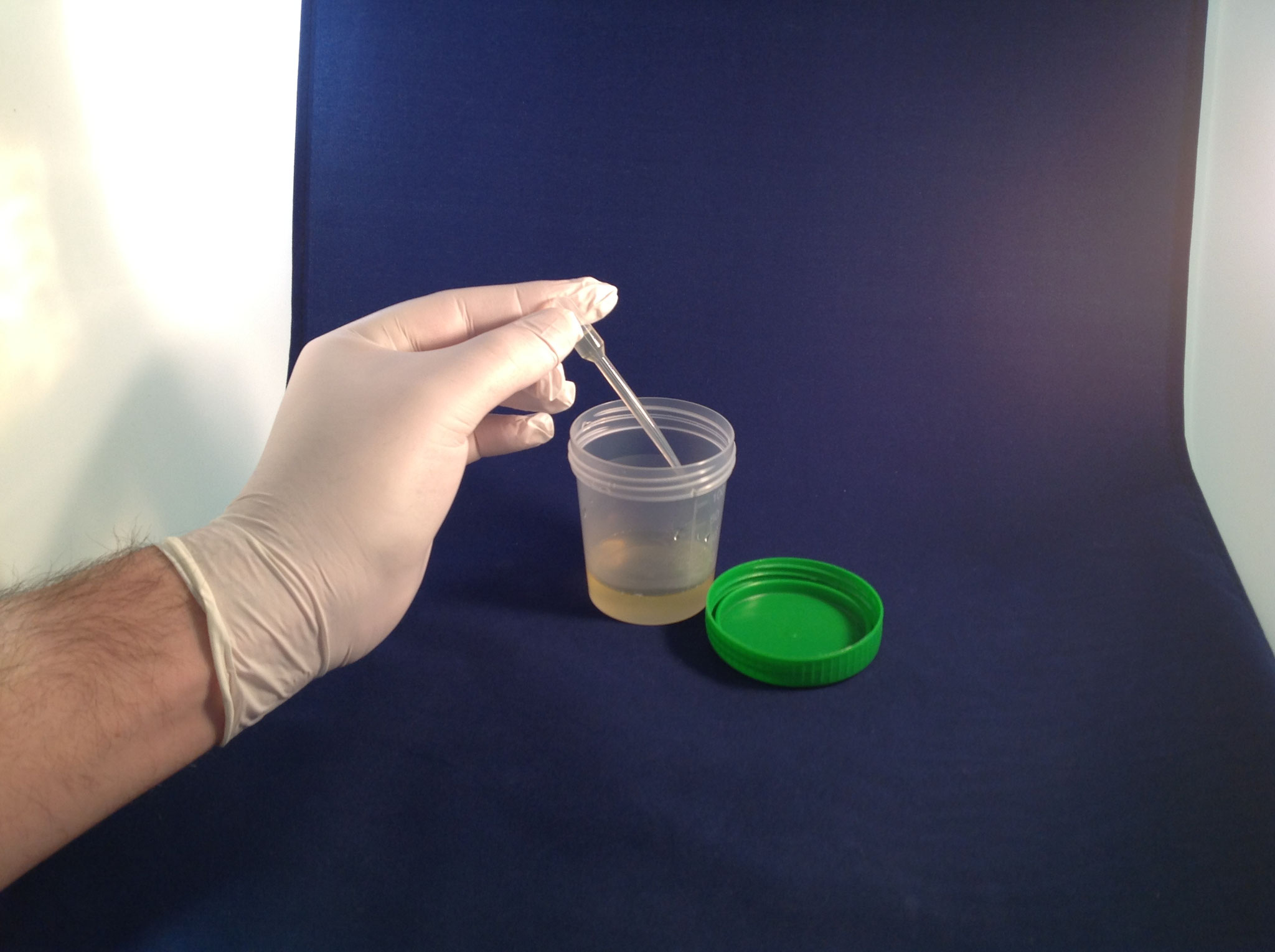 Urintest WolfsConcept für den Wolf in Ihrem Hund