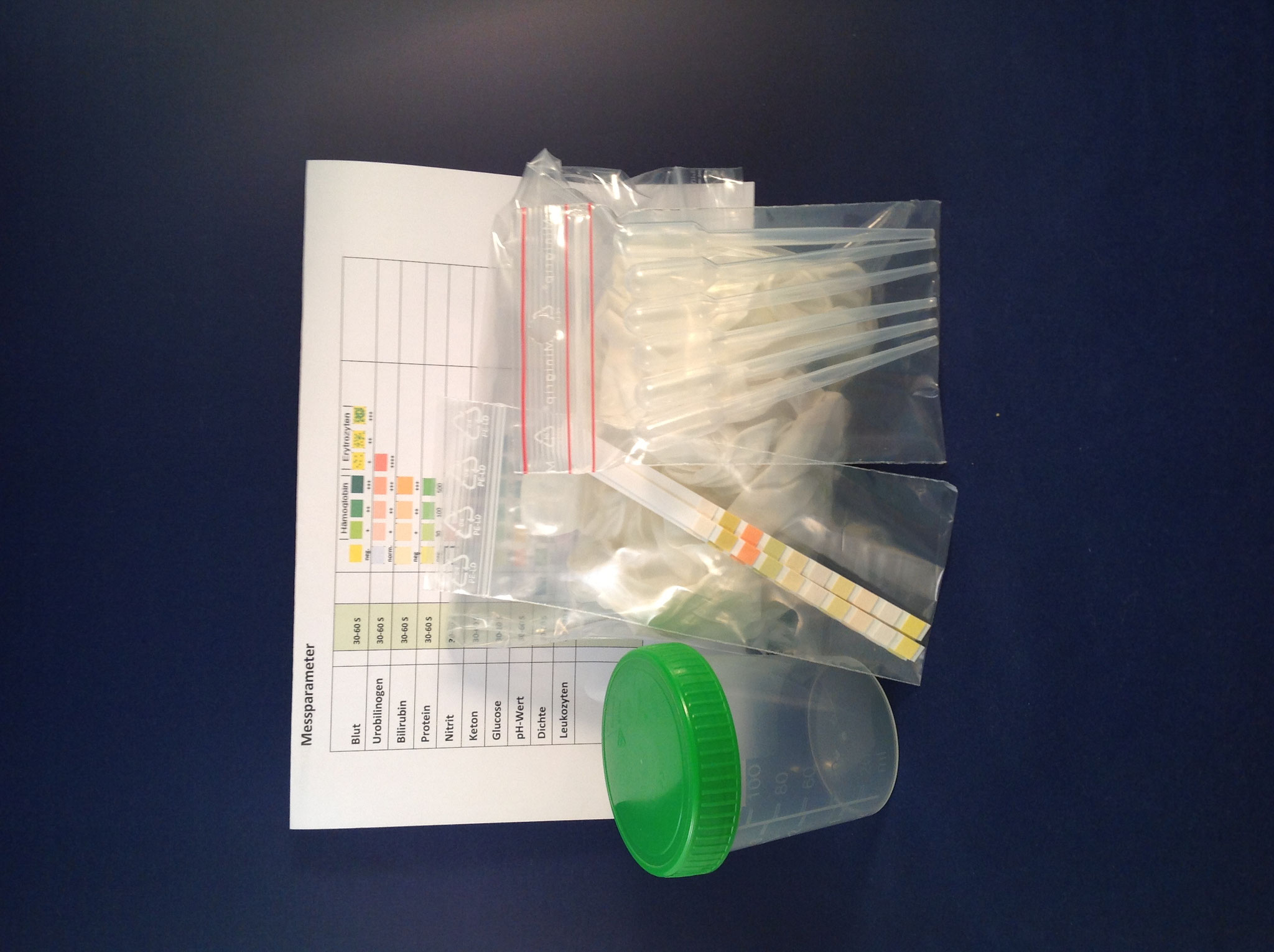 Urintest WolfsConcept für den Wolf in Ihrem Hund