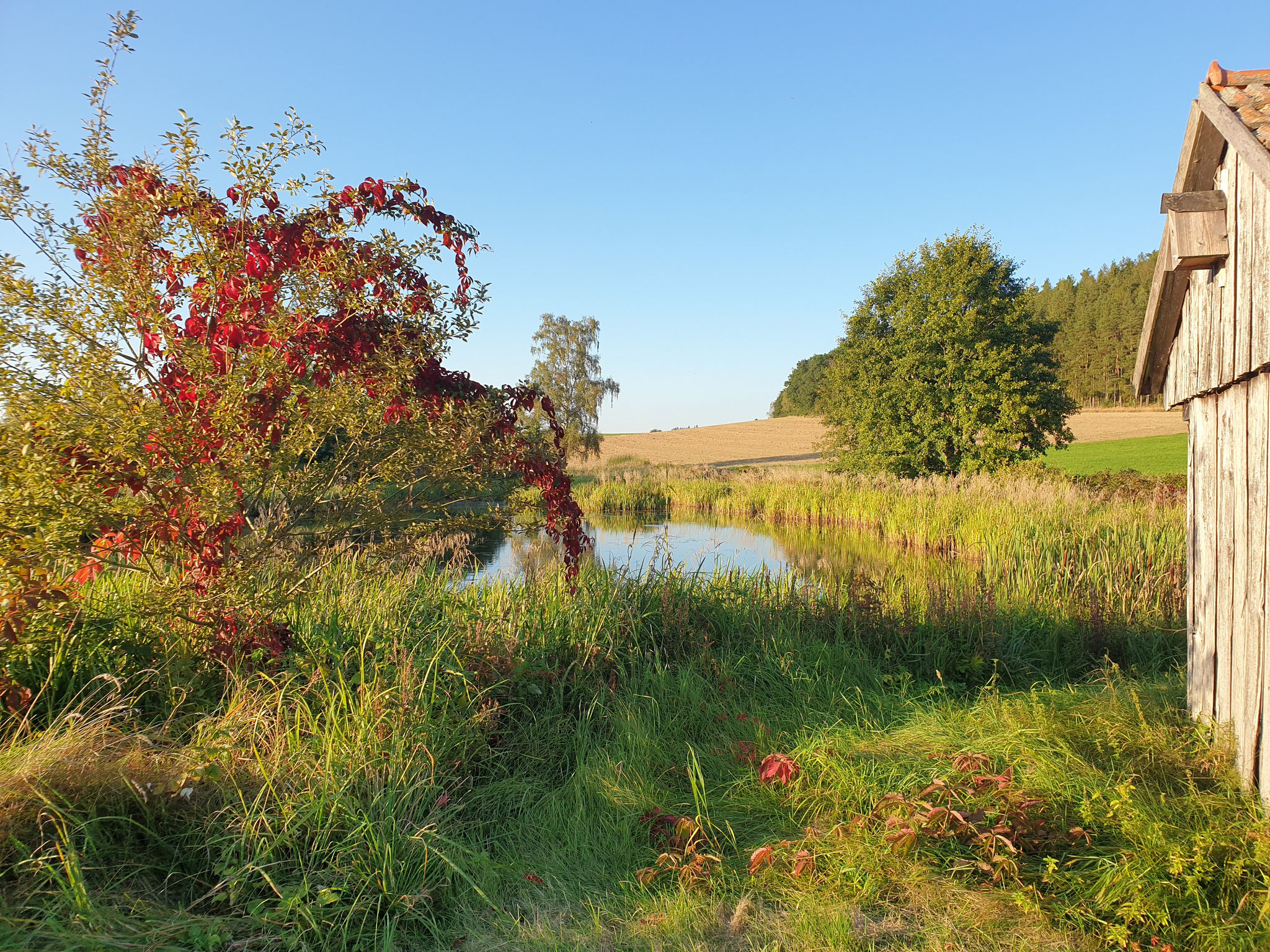 Herbst an den Langwiedteichen (Foto: Götte)