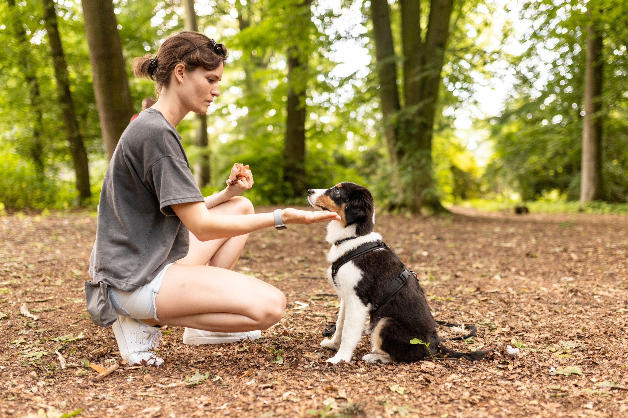 Eine Teilnehmerin übt mit ihrem Hund bei Einsteiger im Alltag in Hamburg Altona