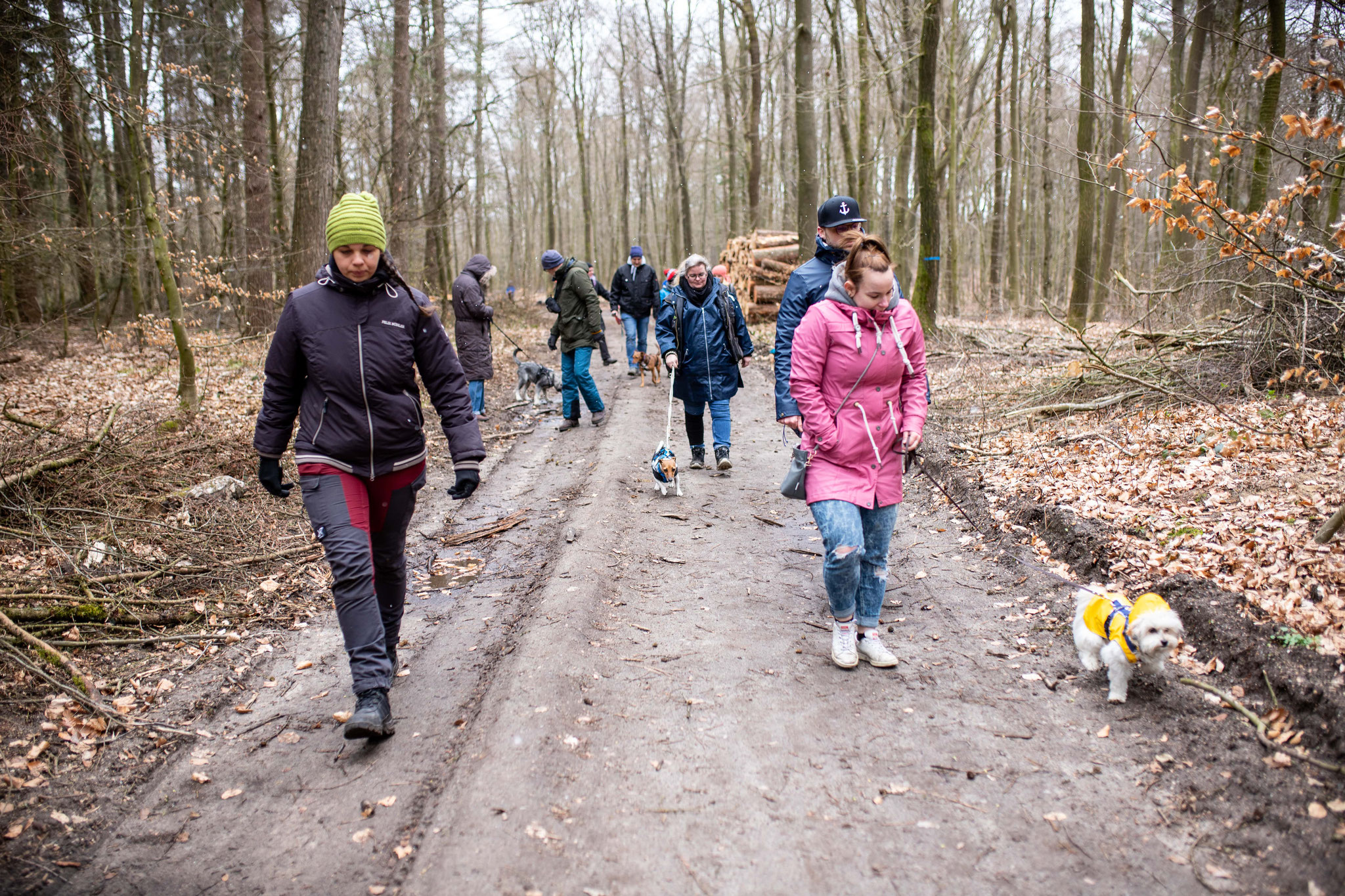 Die Gruppe vom Active-Walk mit den Hunden und Besitzern sowie Hunde-Osteopathin Miriam im Niendorfer Gehege in Hamburg