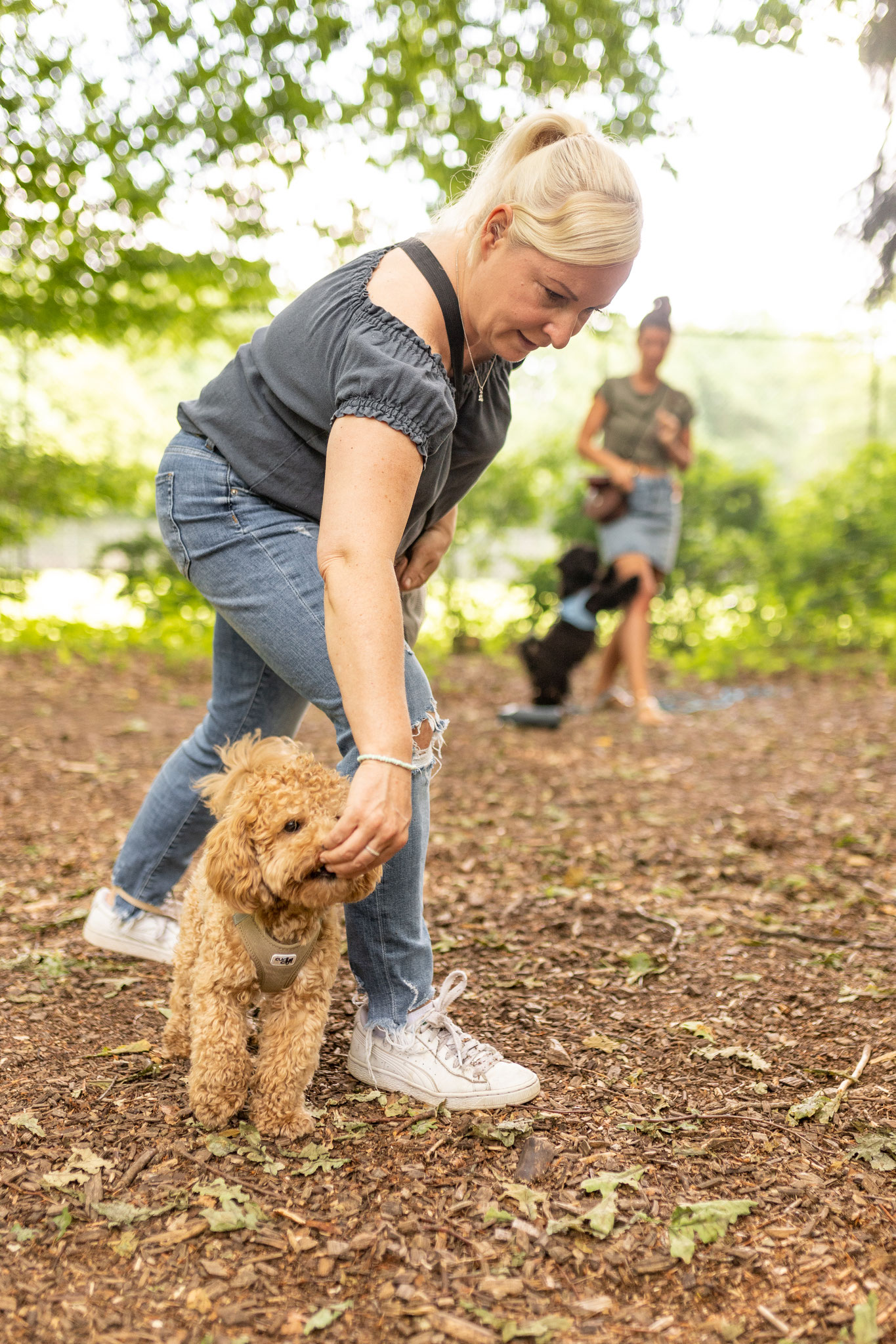 Eine Frau übt mit ihrem Hund beim Hundetraining im Hamburger Stadtpark