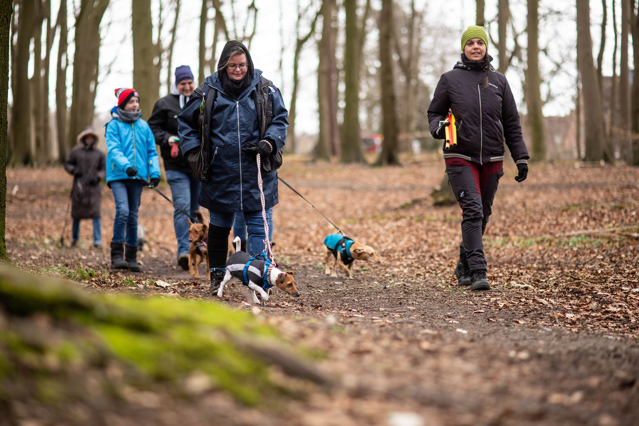 Die Gruppe vom Active-Walk mit den Hunden und Besitzern sowie Hunde-Osteopathin Miriam im Niendorfer Gehege in Hamburg