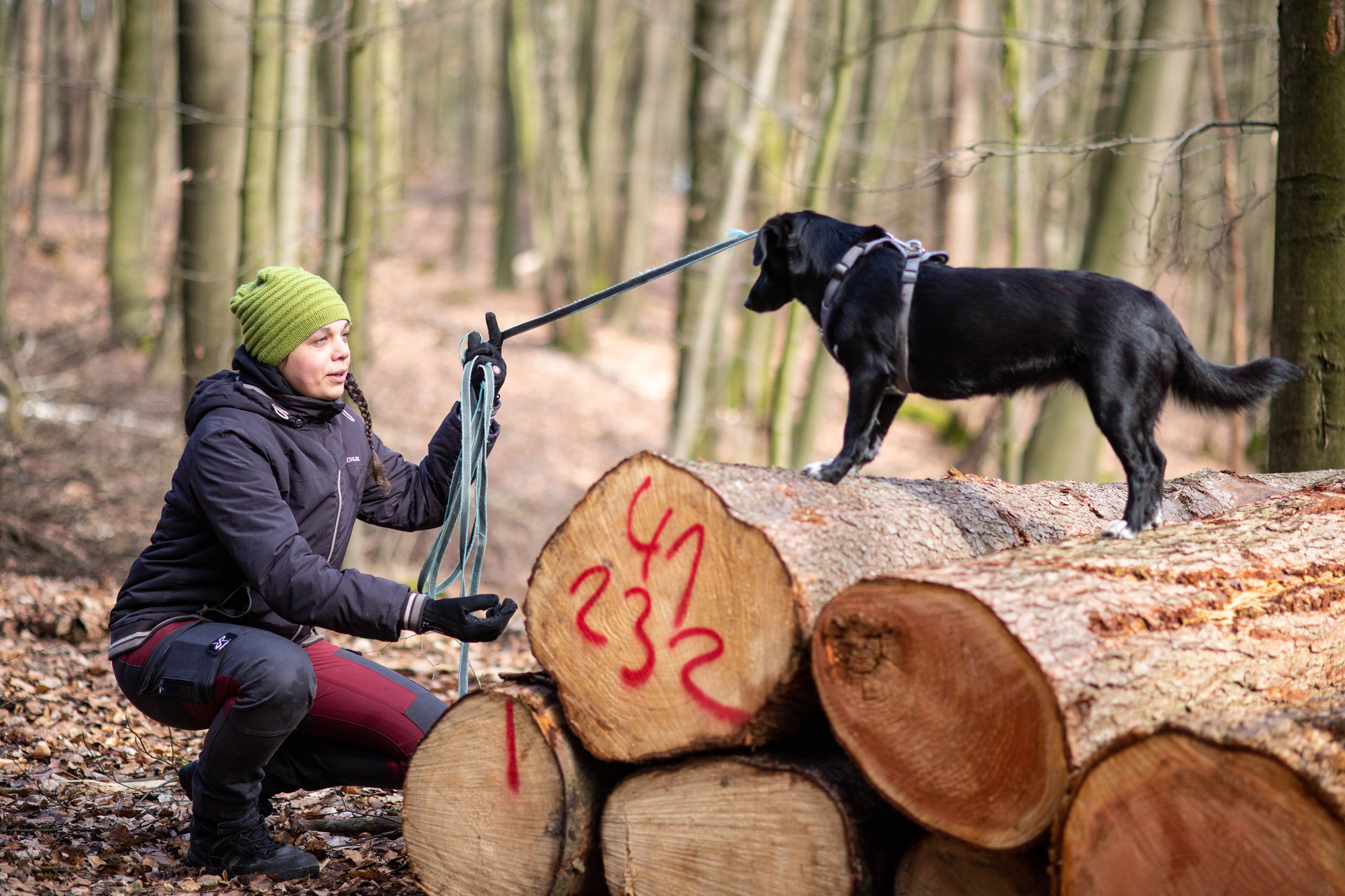 Hunde-Osteopathin Miriam zeigt im Niendorfer Gehege beim Active-Walk mit einem Hund eine Übung auf Baumstämmen