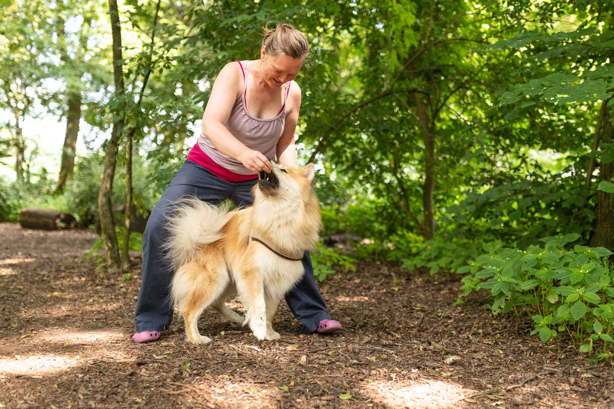 Eine Teilnehmerin übt mit ihrem Hund das Slalomlaufen durch die Beine beim Kurs Alltagshelden in Hamburg