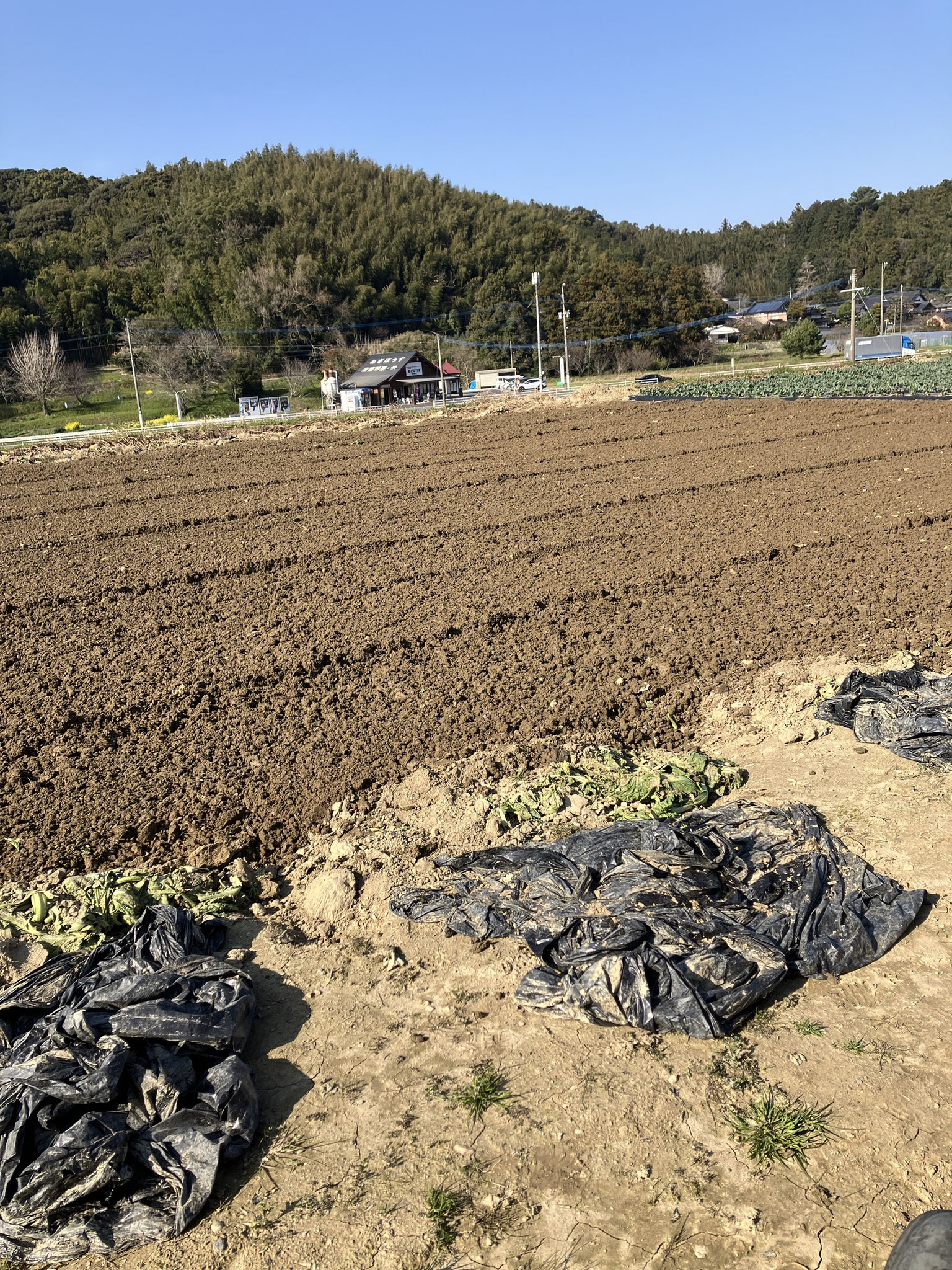 春に向けて耕耘しています。
