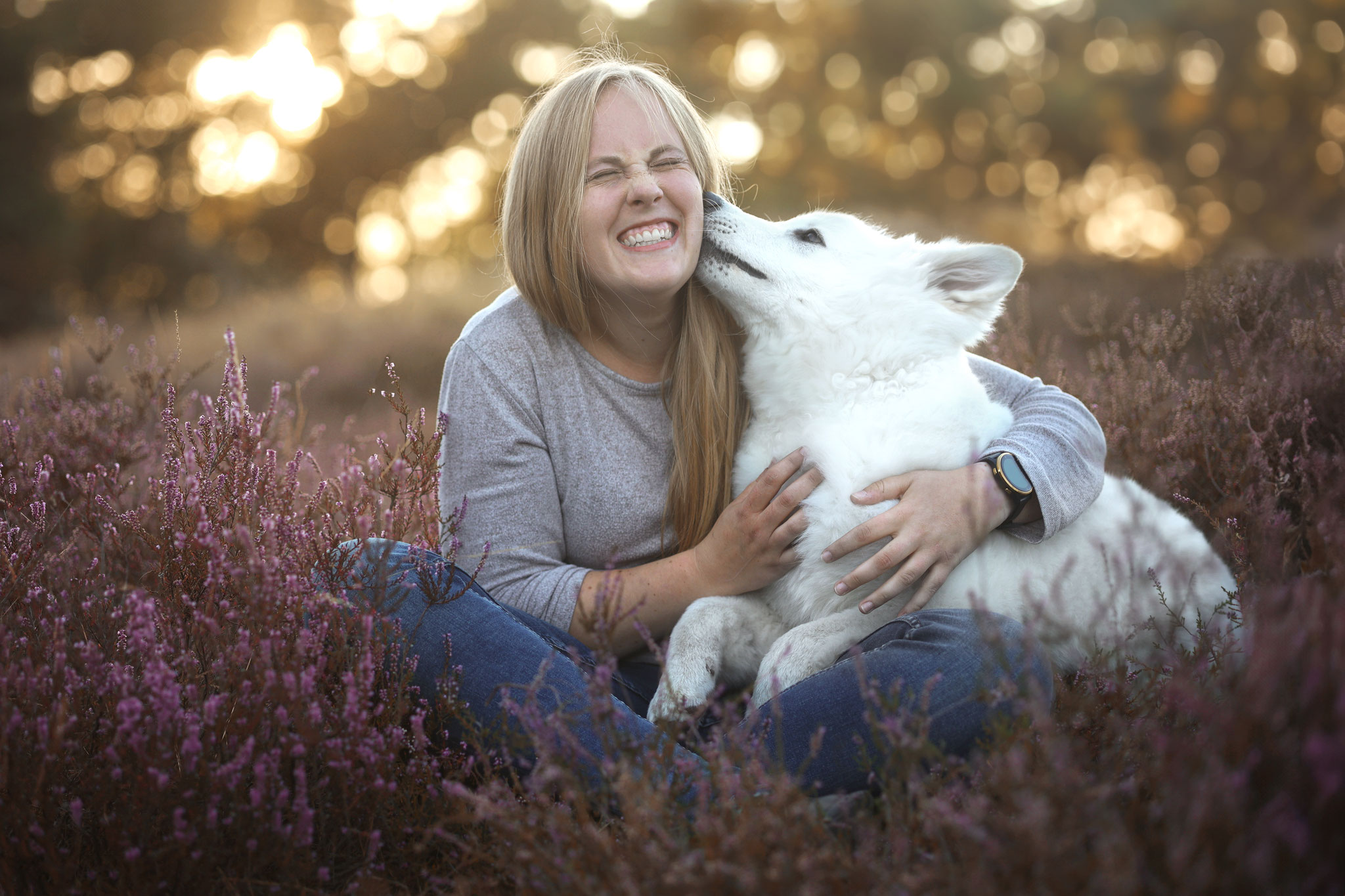 Eine Frau mit ihrem weissen Schäferhund Welpen beim kuscheln in der Heide in Haltern am See im Sonnenuntergang 
