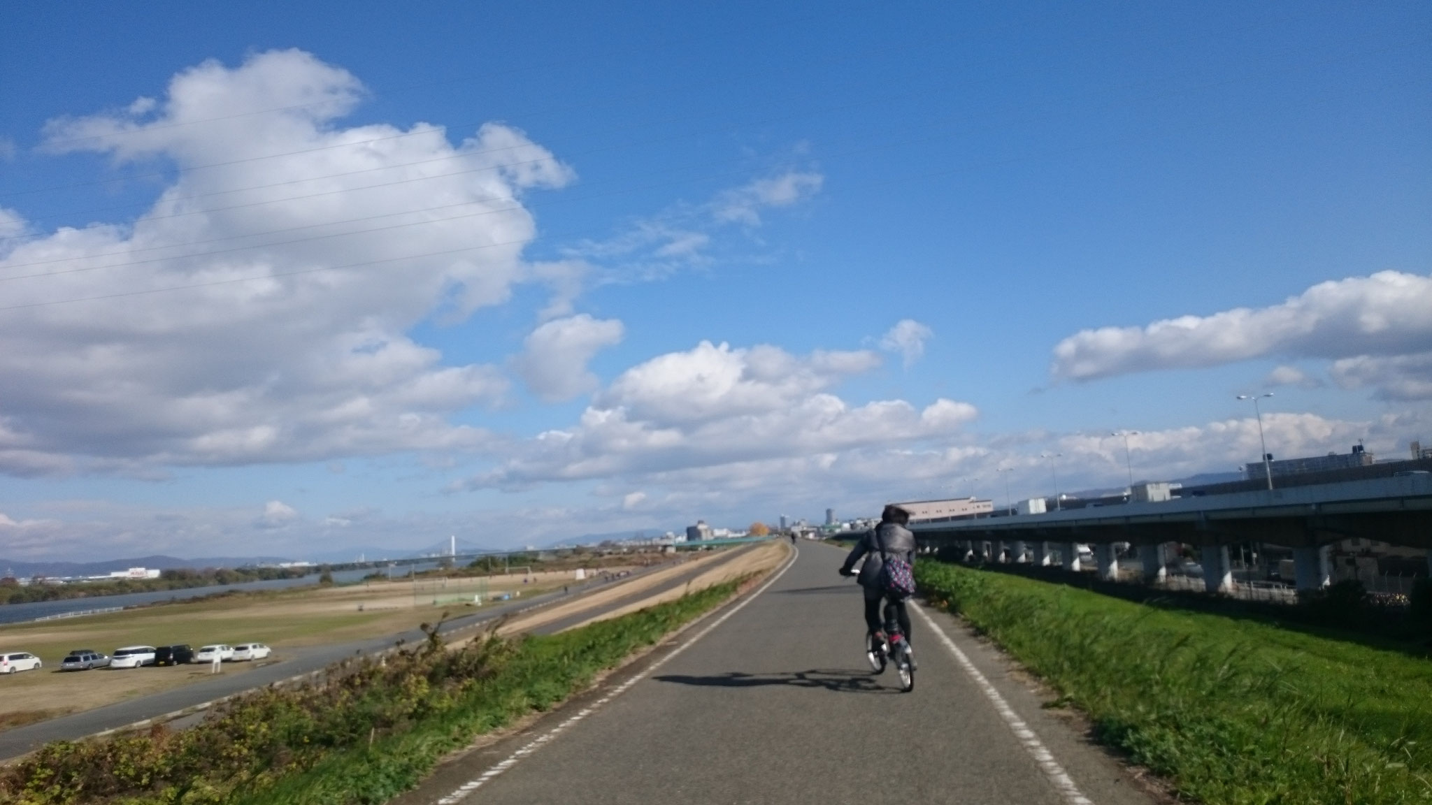 淀川土手を走る