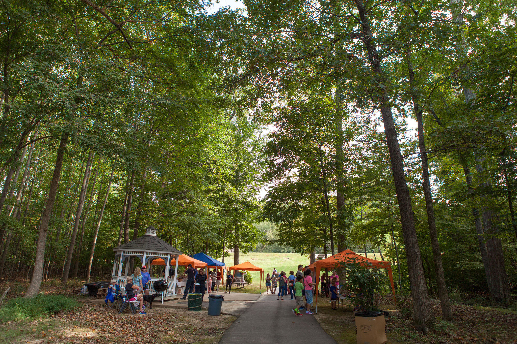 Woodbridge HOA Fall Festival, Oct 1, 2017