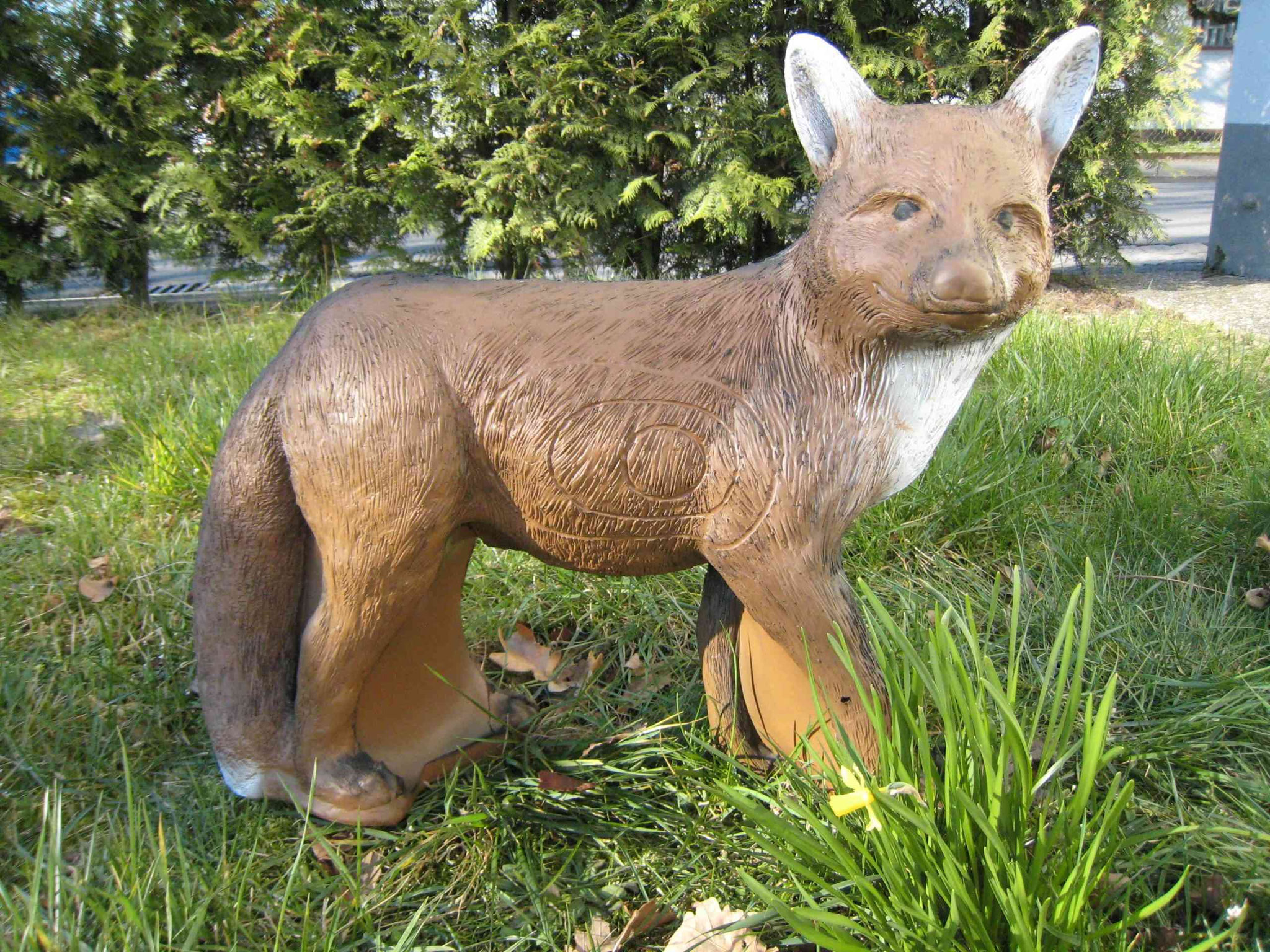CSS Fuchs farbig CHF 139.00