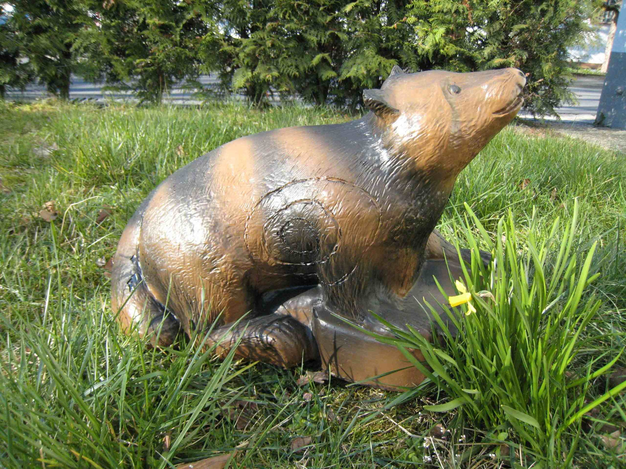 CSS Waschbär farbig CHF 110.00