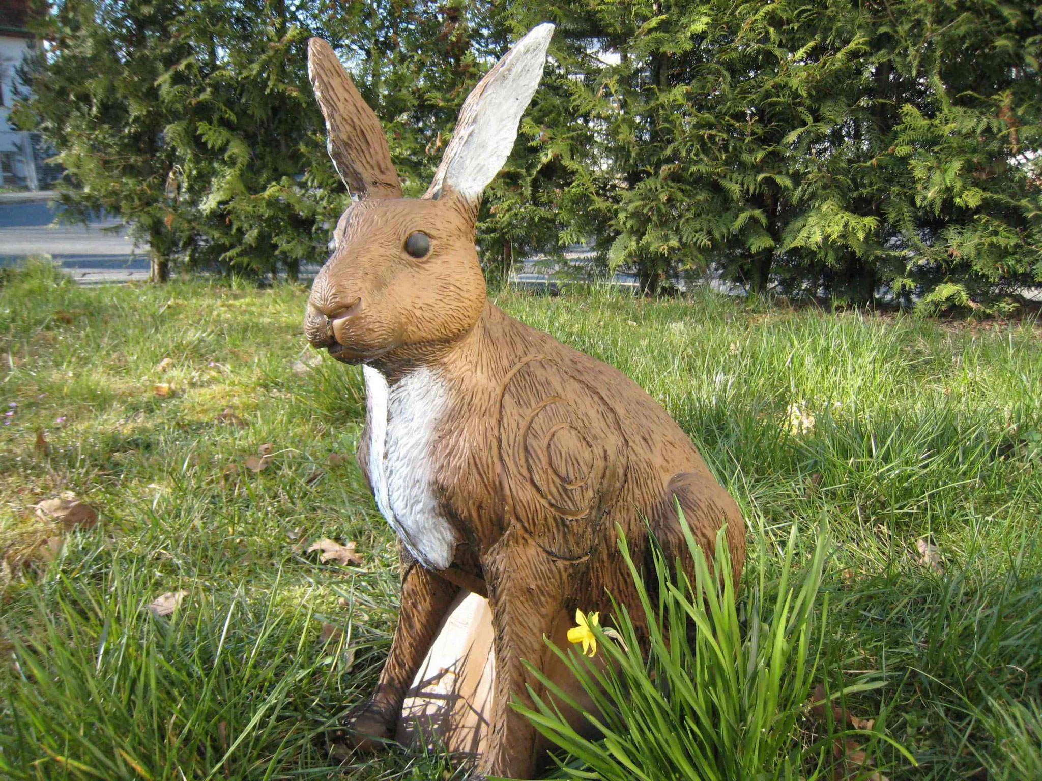CSS Hase farbig CHF 98.00