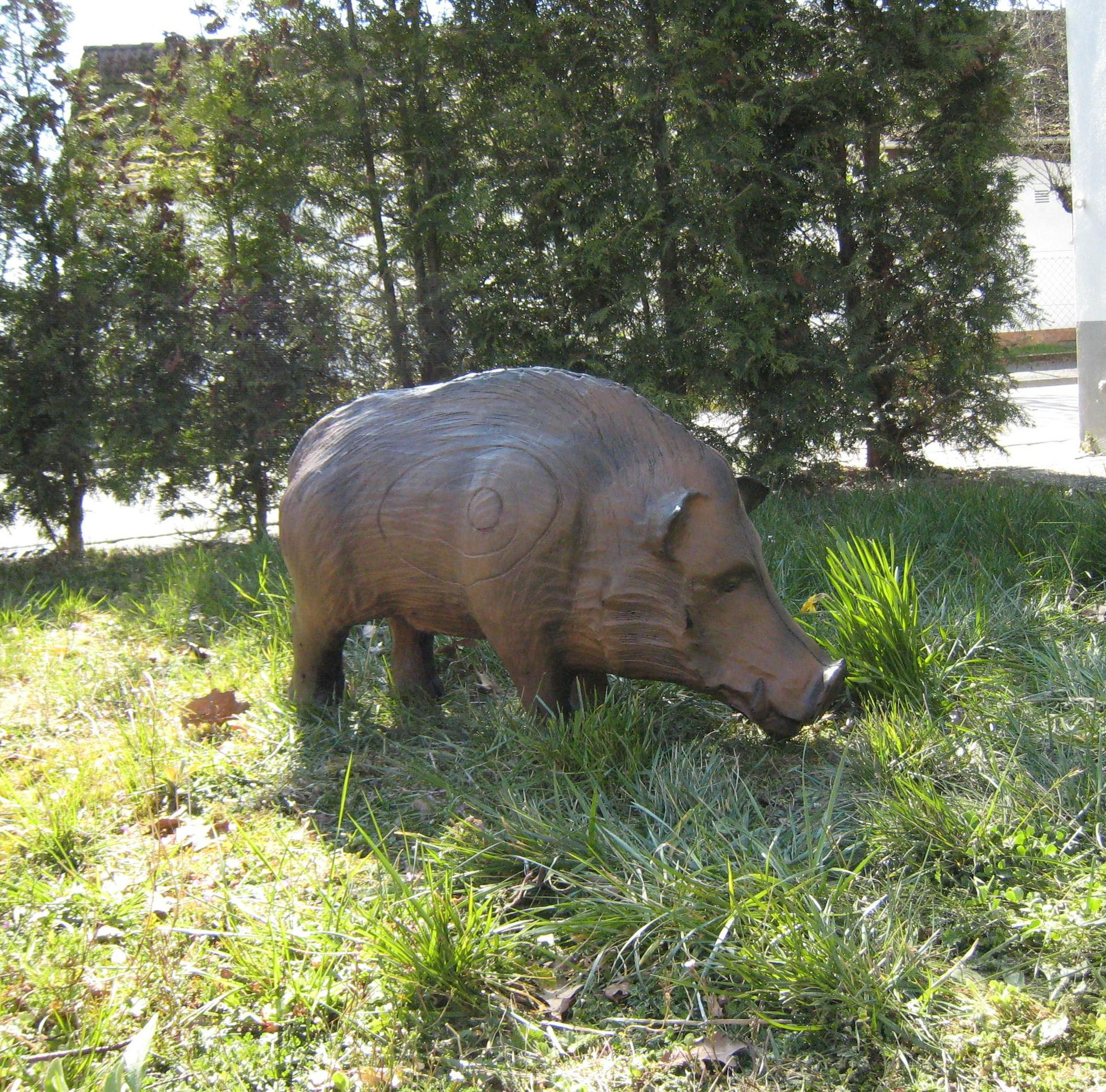 CSS Wildschwein farbig CHF 220.00