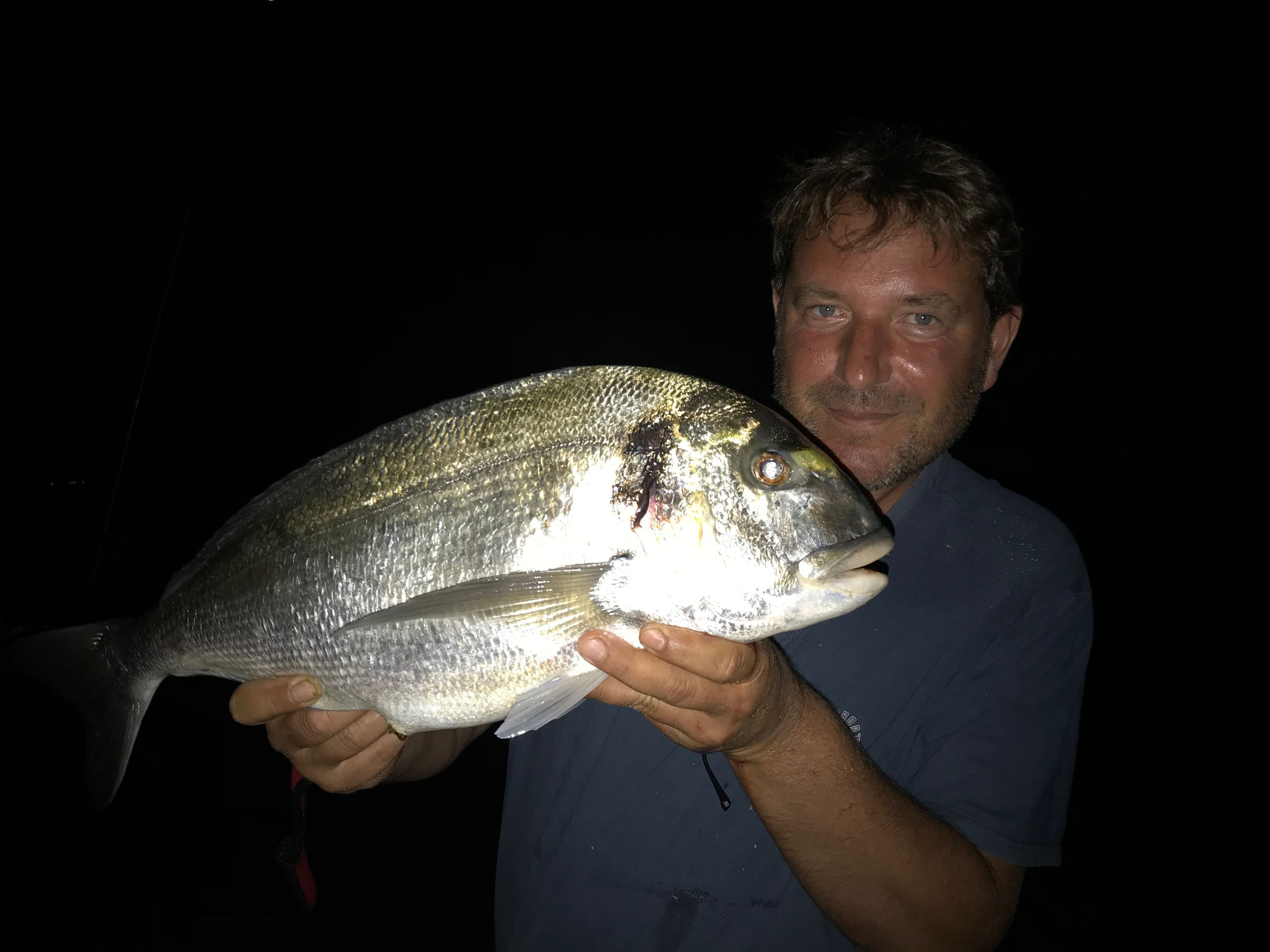 pêche de nuit et la jolie royale