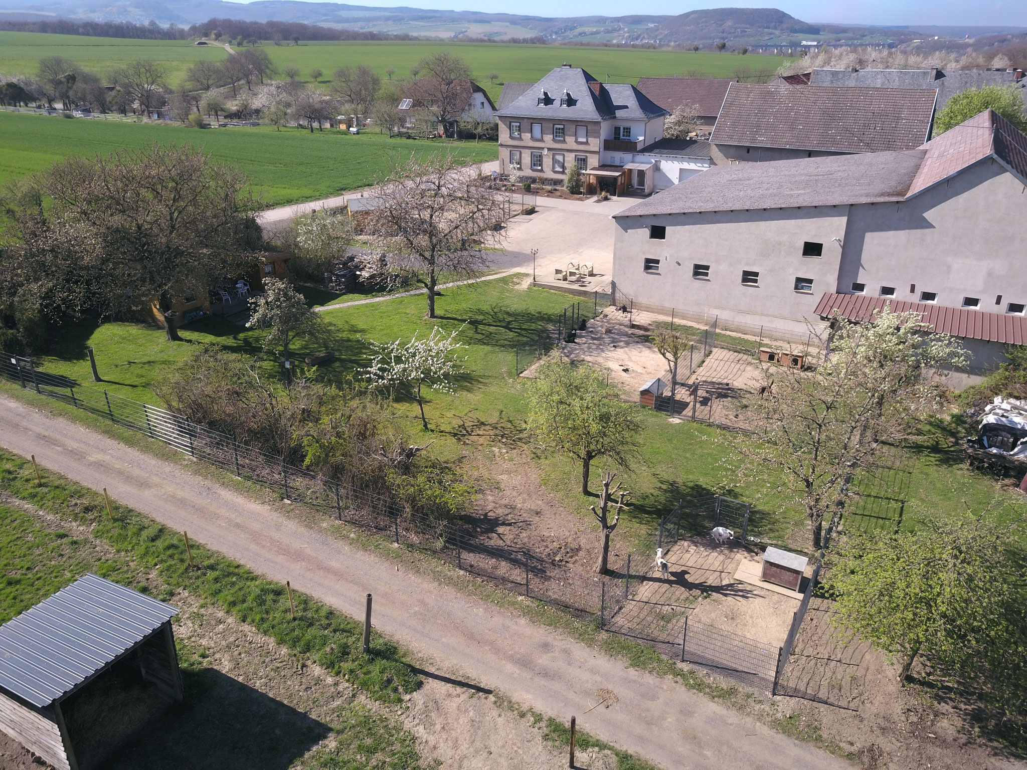 Neu ab April 2022 Katzenpension Claudia Jäger - Website der ...