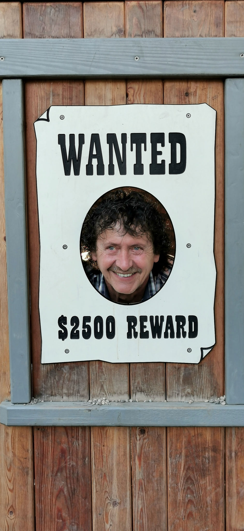Thomas Meiser, Sprachförderlehrer