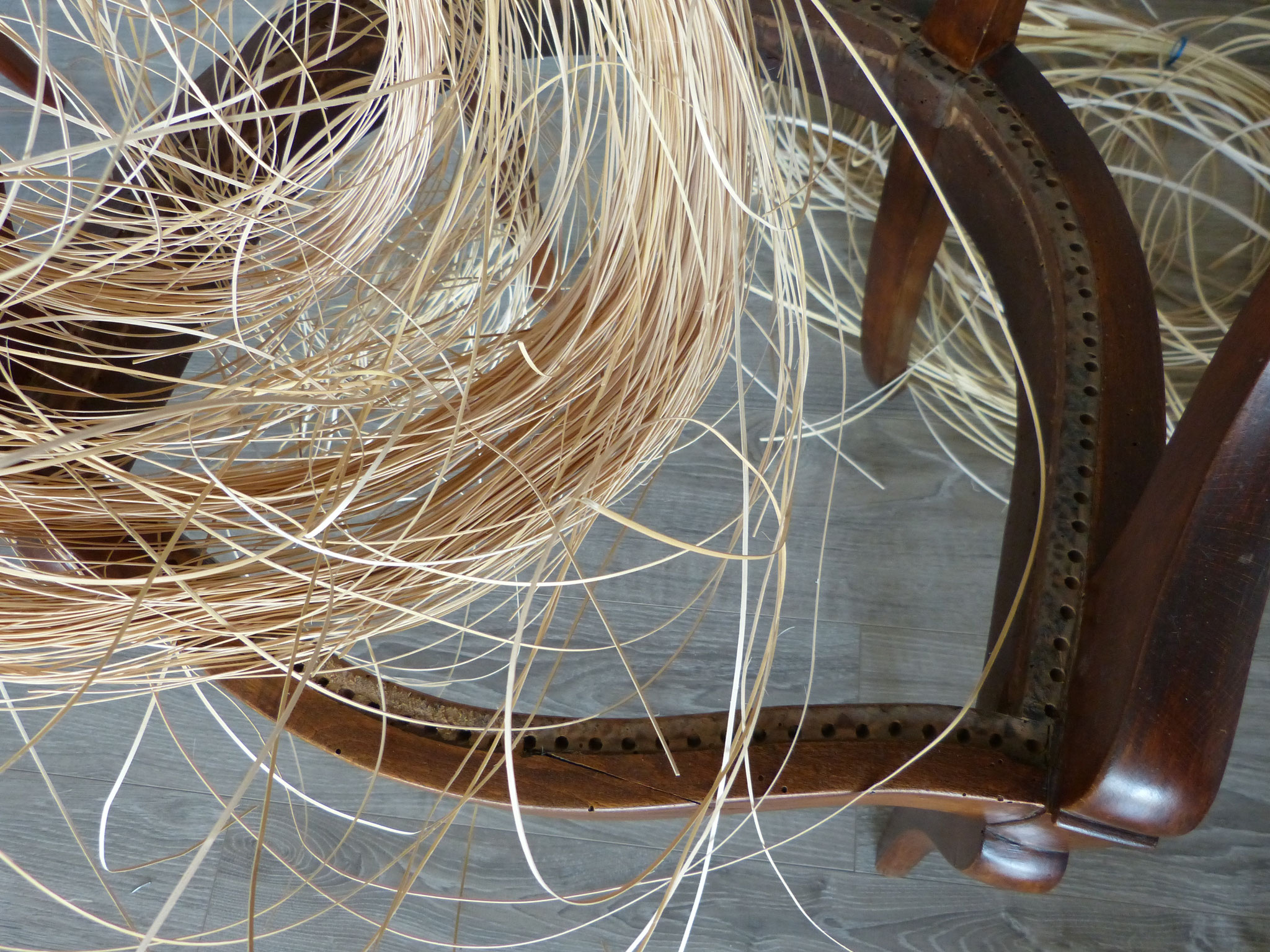 Les longs brins de canne brute et les trous indispensables au cannage traditionnel