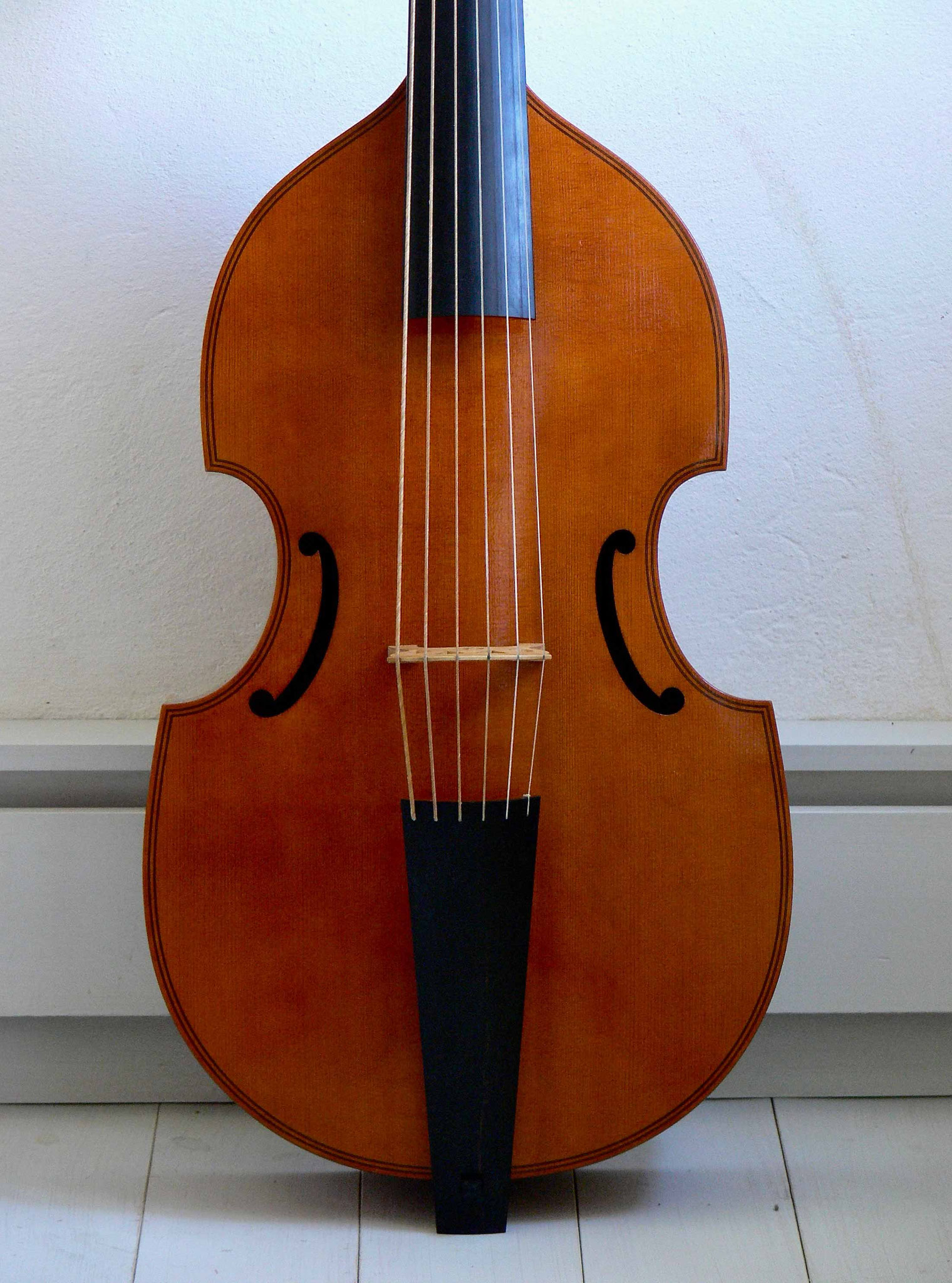 VIOL MAKER VIOLWORKS