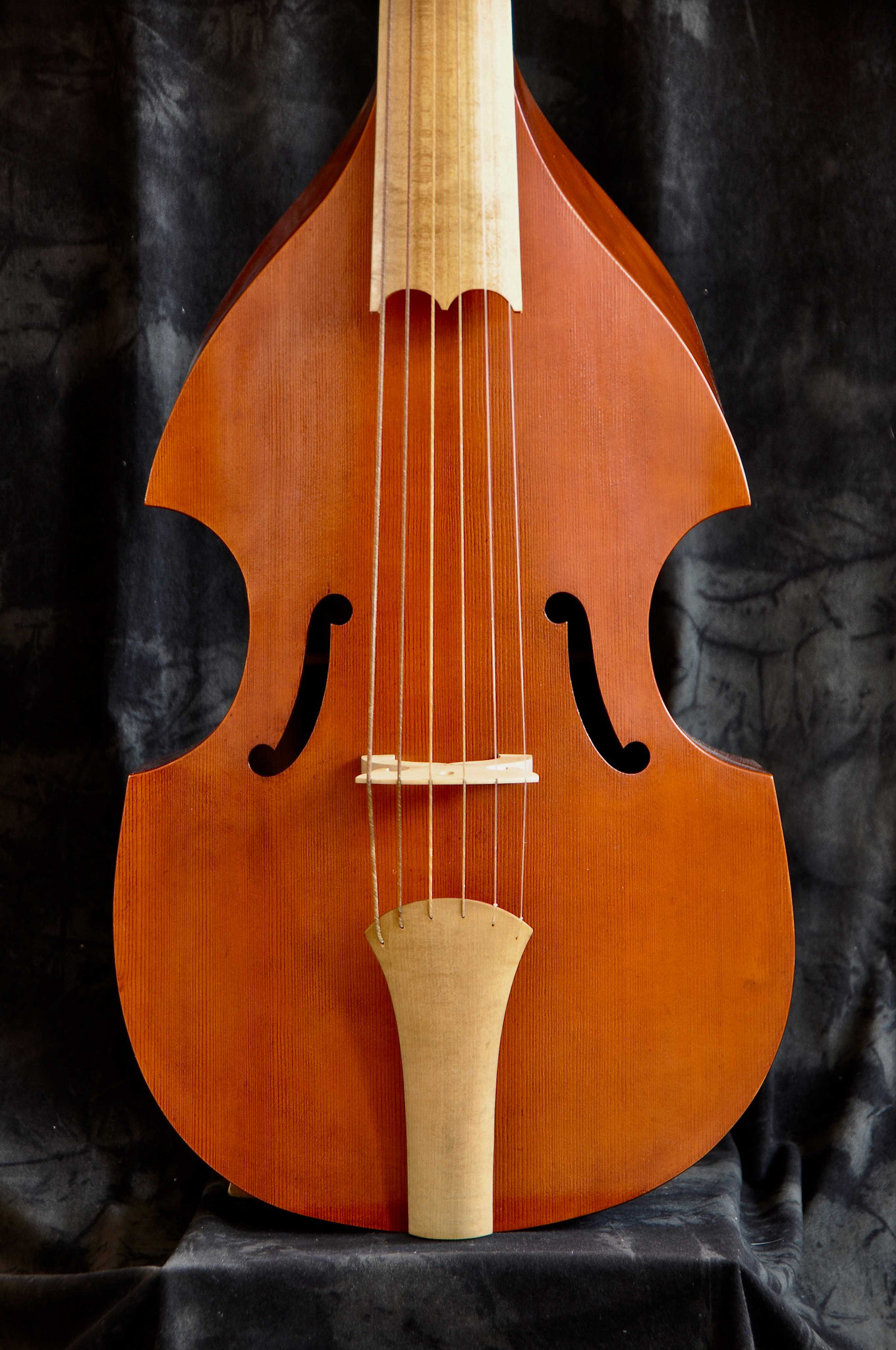VIOL MAKER VIOLWORKS
