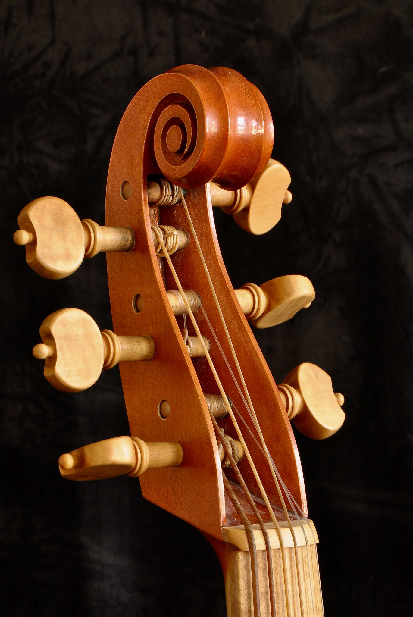 VIOL MAKER VIOLWORKS