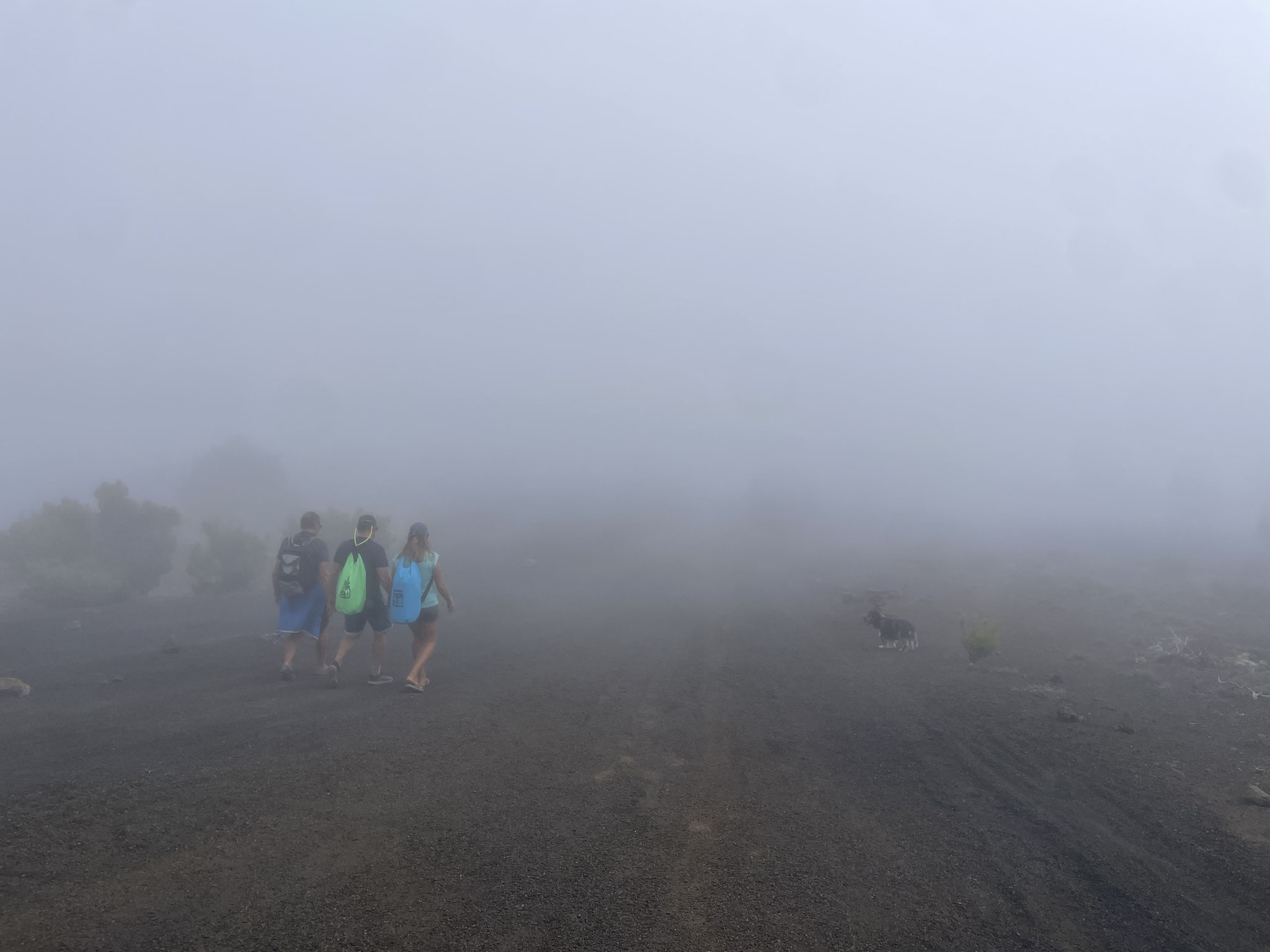der Rückweg zum Hafen erstmal durch Nebel...