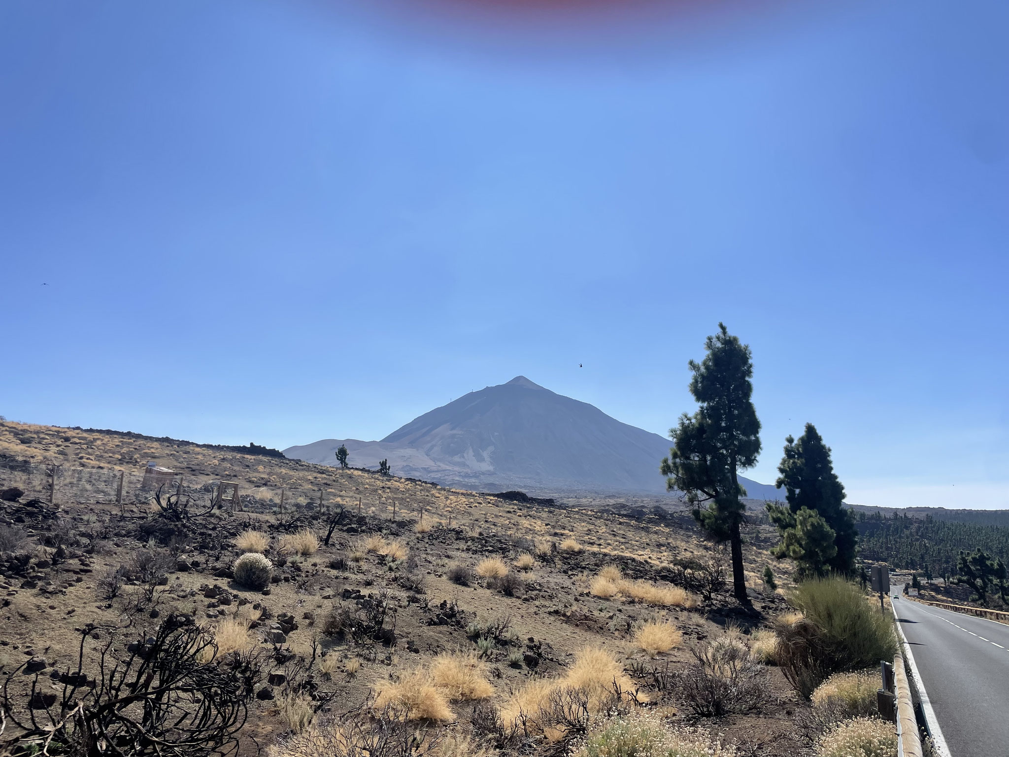 der Teide