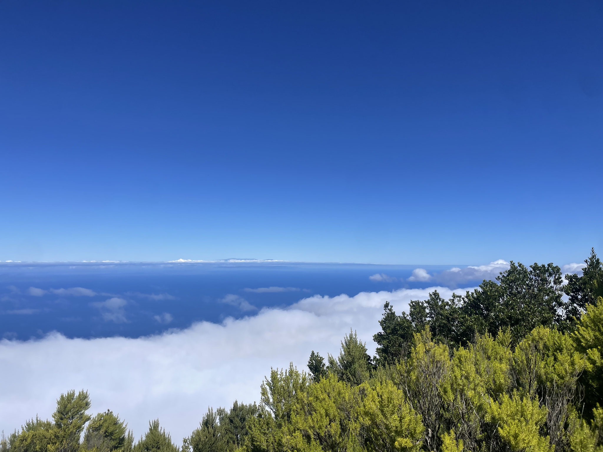 die Aussicht nach La Palma