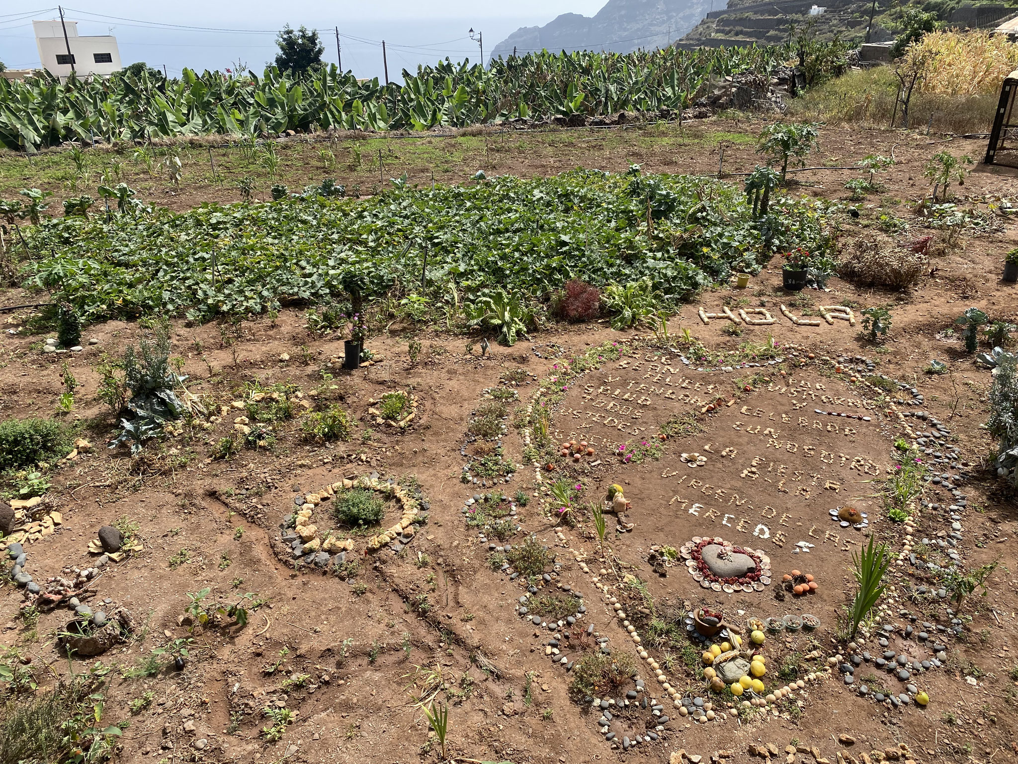 Gemüsegarten in Agulo