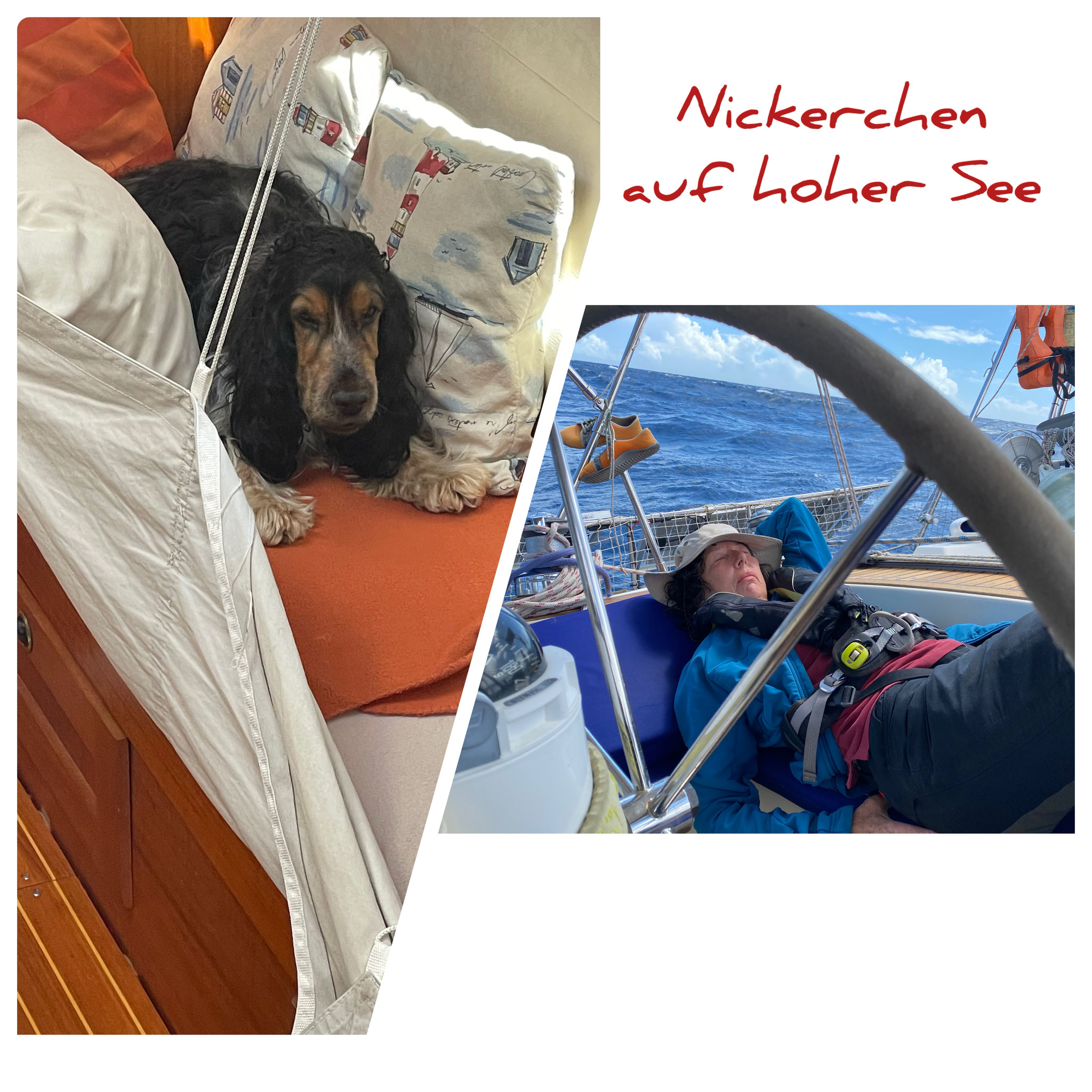 ...muss sein... alles ganz schön anstrengend :-)