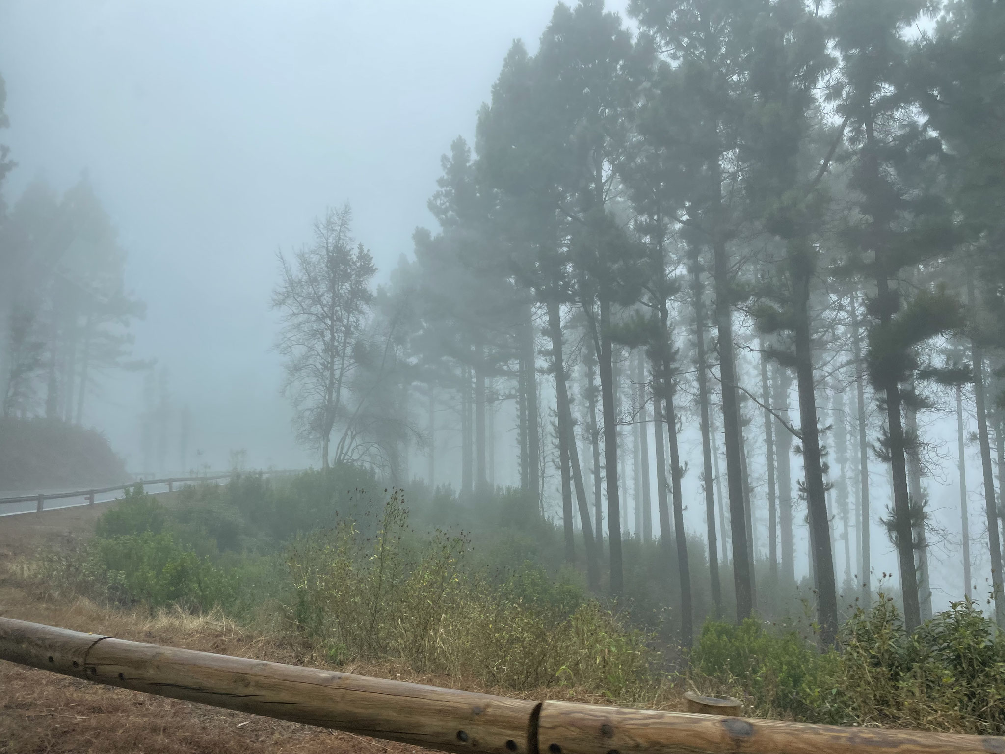 ganz viel Nebel...