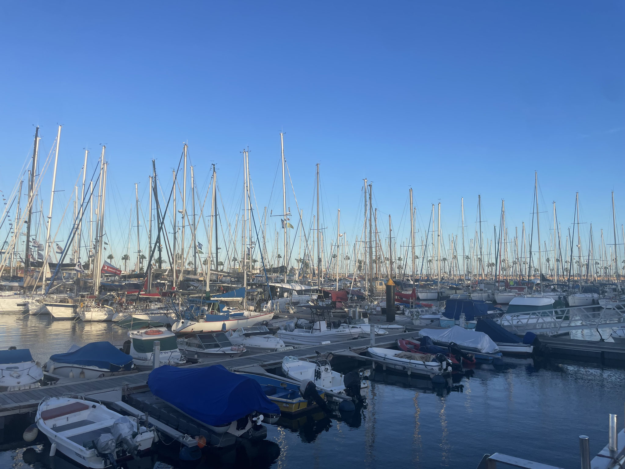 die Segelschiffe wollen alle in die Karibik