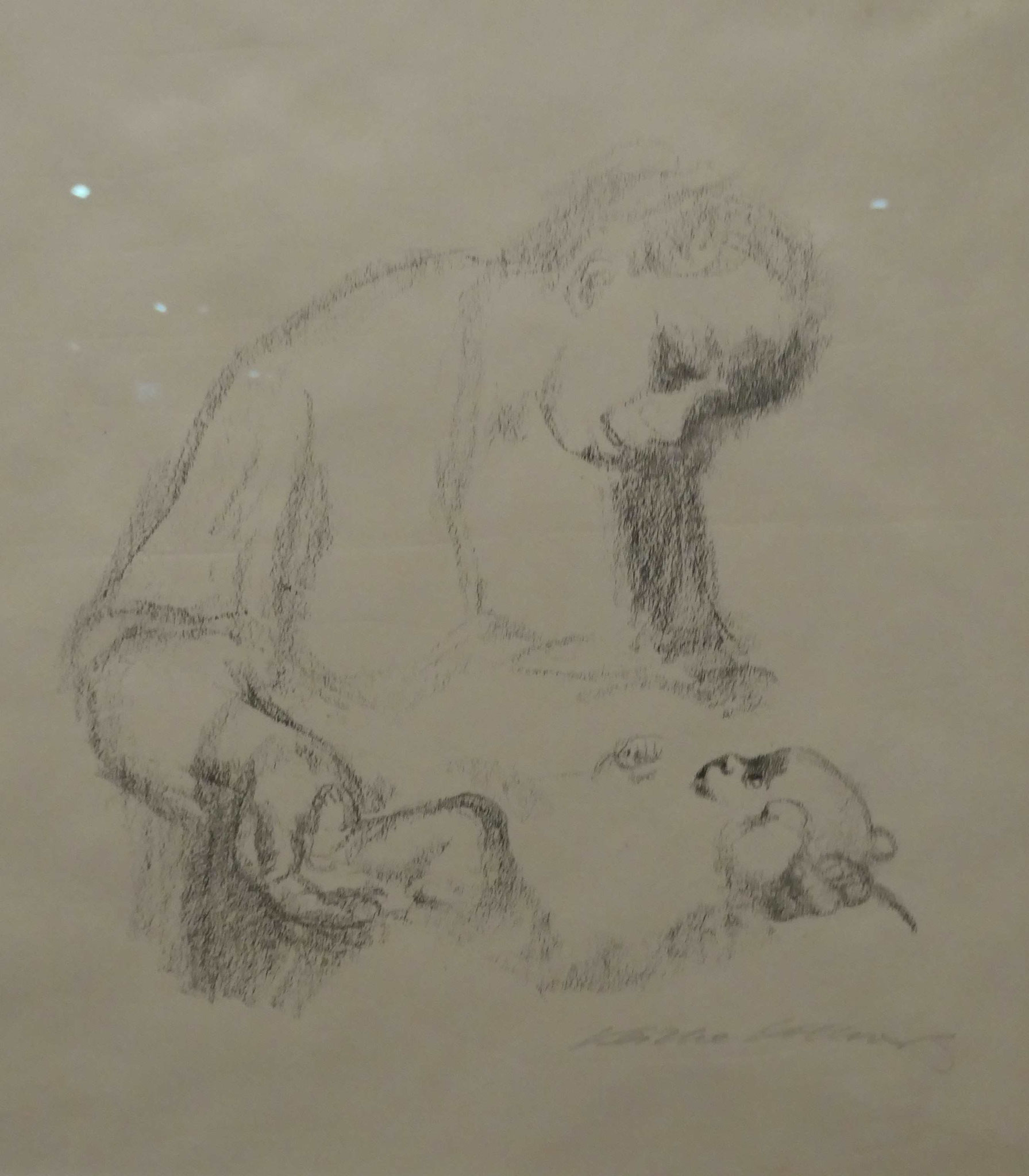Käthe Kollwitz,  Jnge Mutter mit Säugling, Kreidelithografie, 1928, Käthe-Kollwitz-Museum, Berlin
