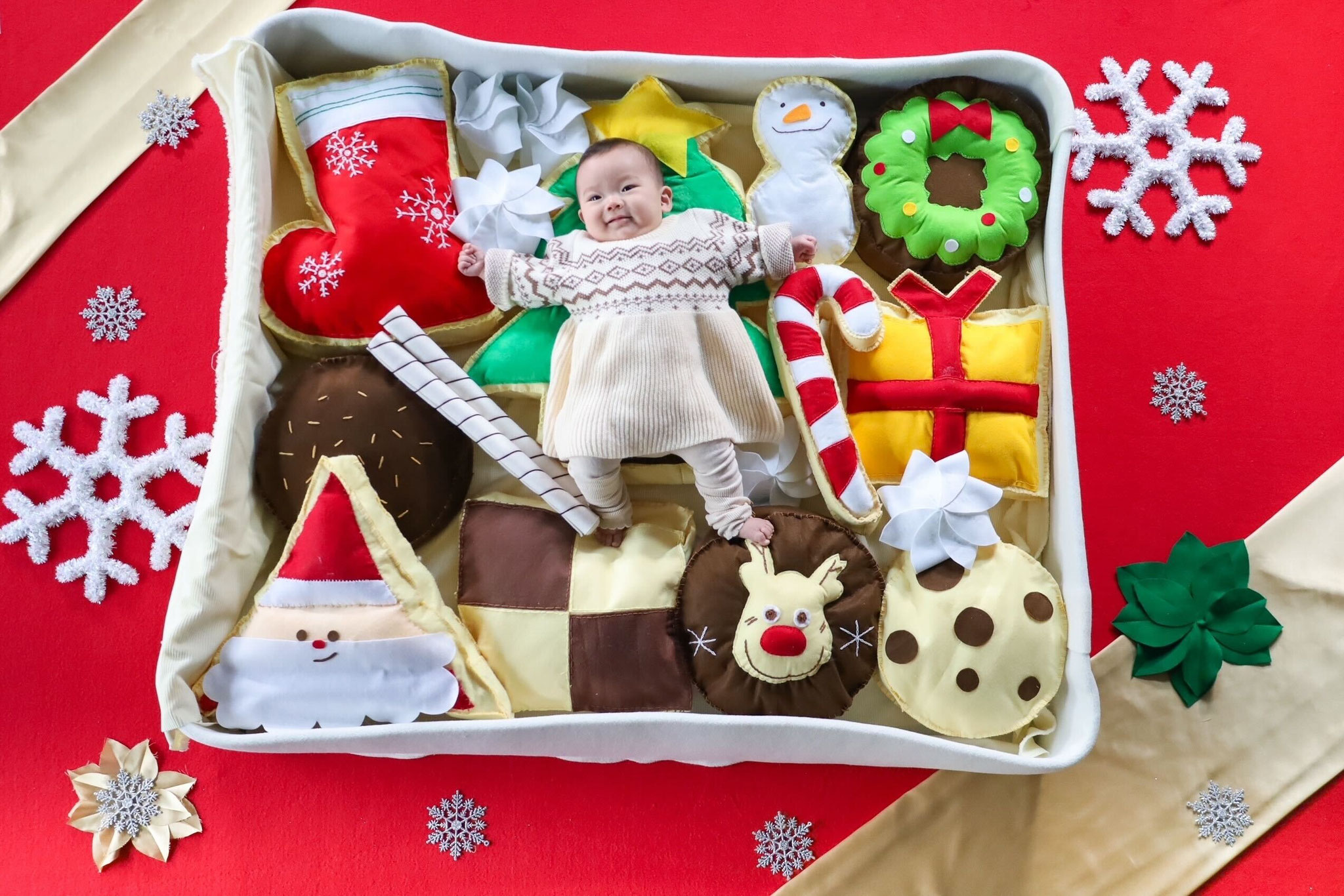 <div style=" font-size:10px; font-weight:bold;">Merry Cookie Xmas♡<br /></div>