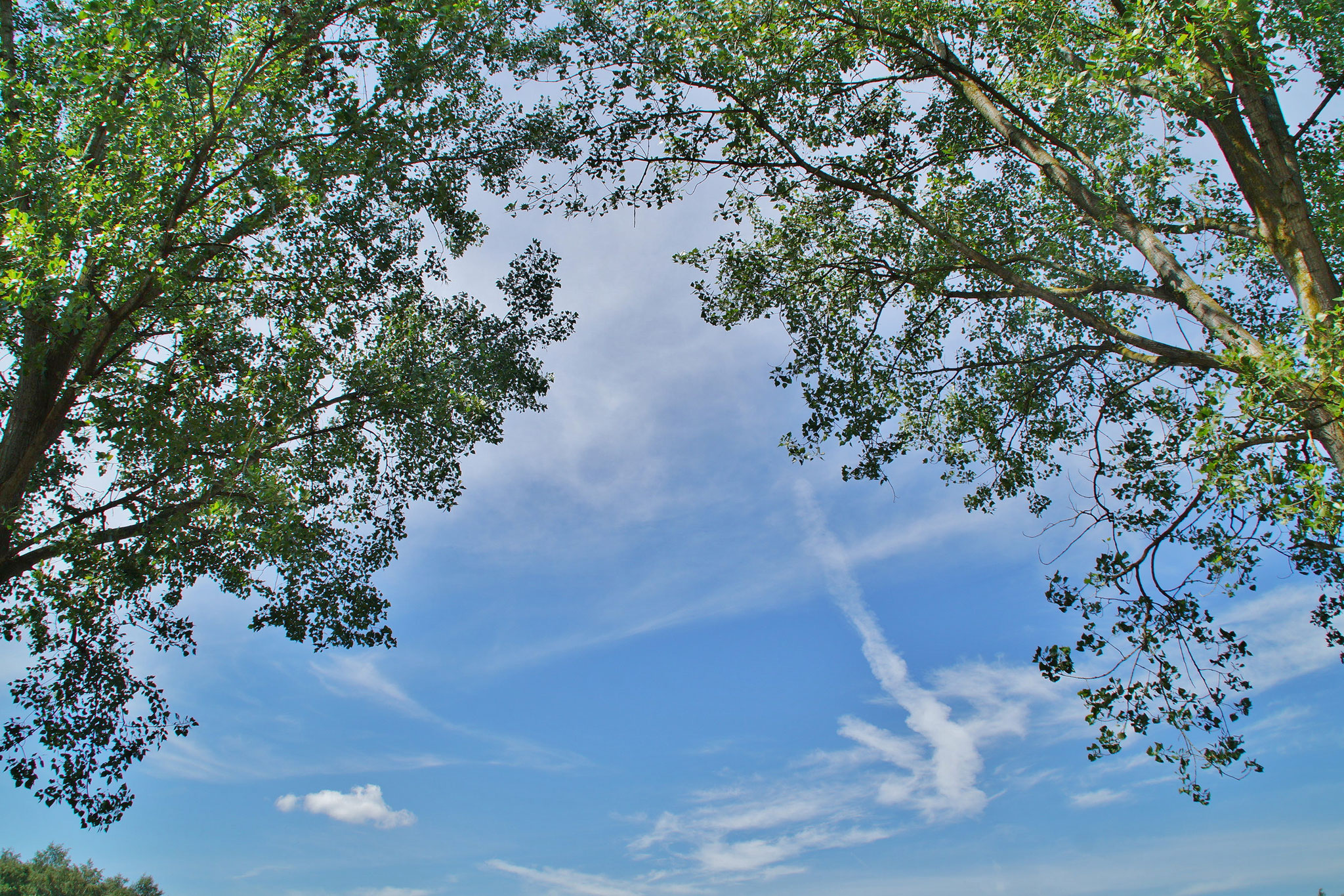 Das grüne Tor zum Himmel