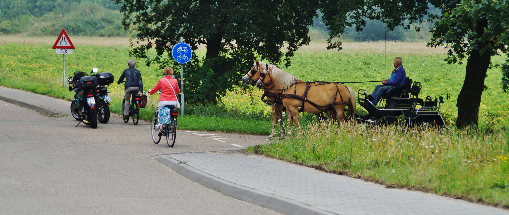 Kleine Kreuzung, viel Getümmel