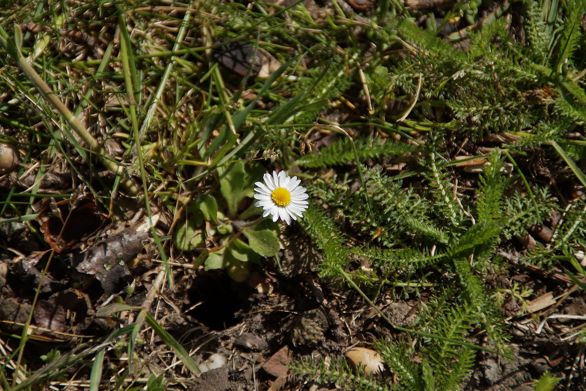 Genießt die Sonne