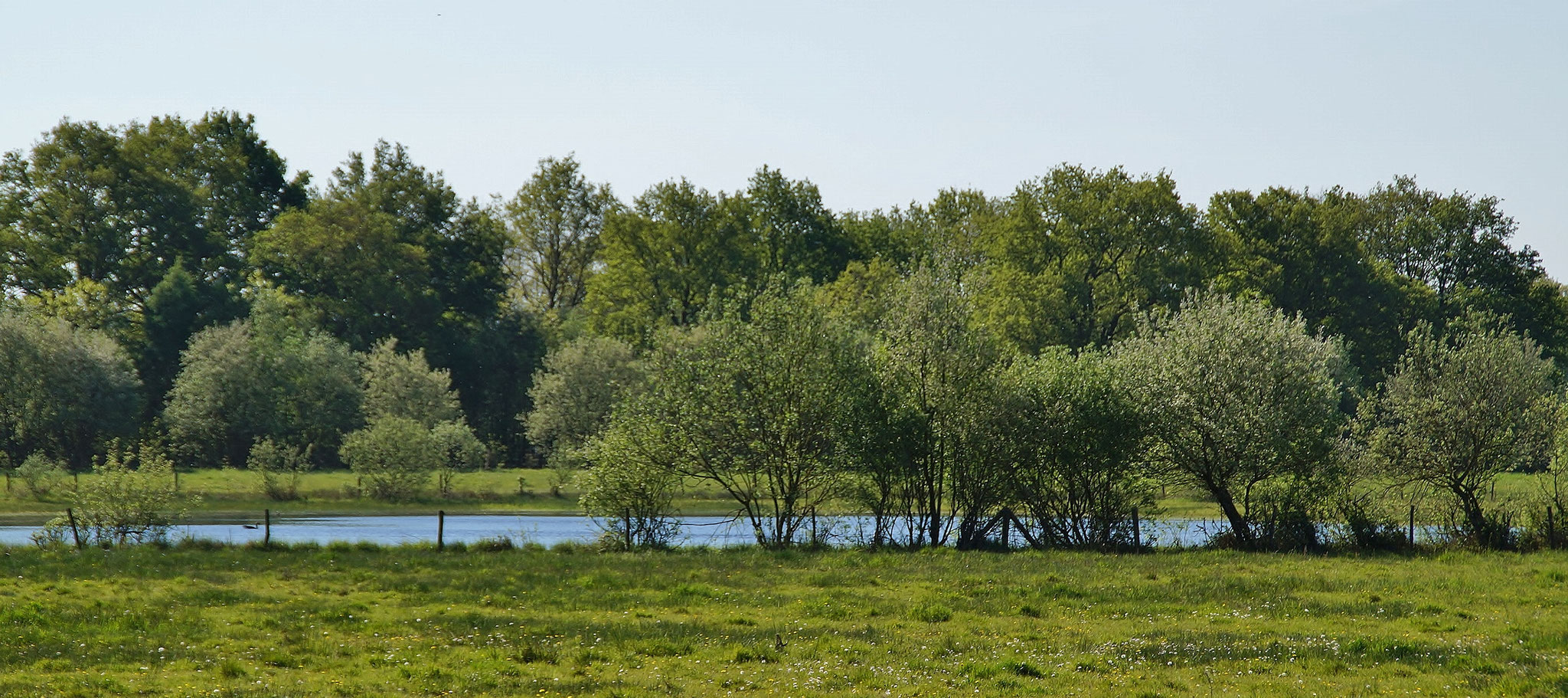 In sicherer Entfernung: Ein großer Wasserteich