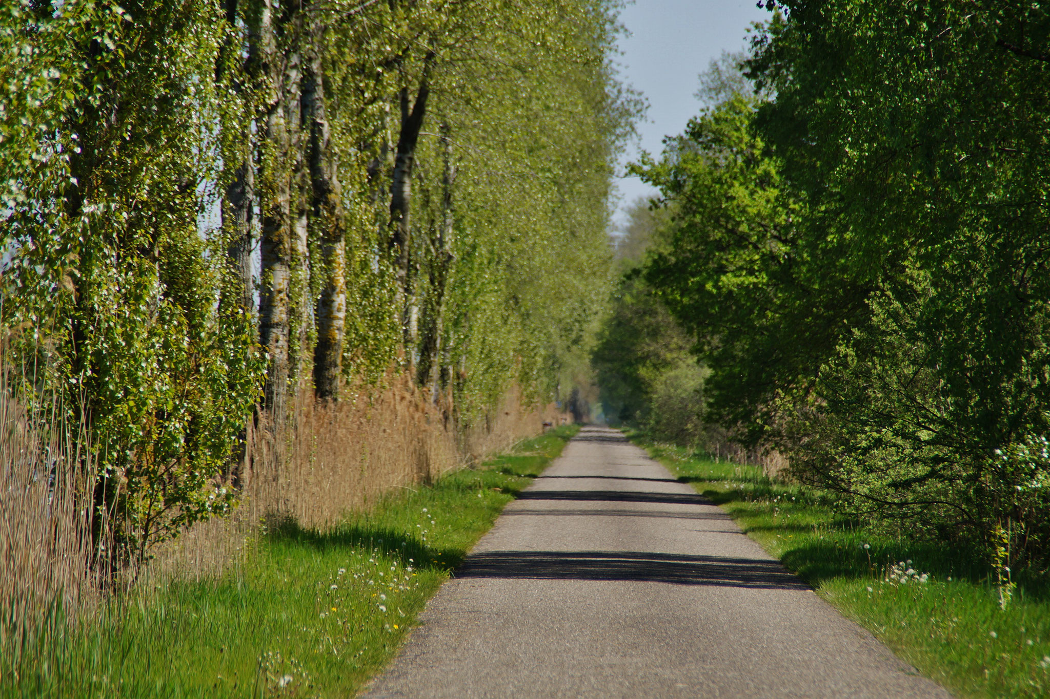 Alte Straße nach Lozen (B) am Kanal entlang