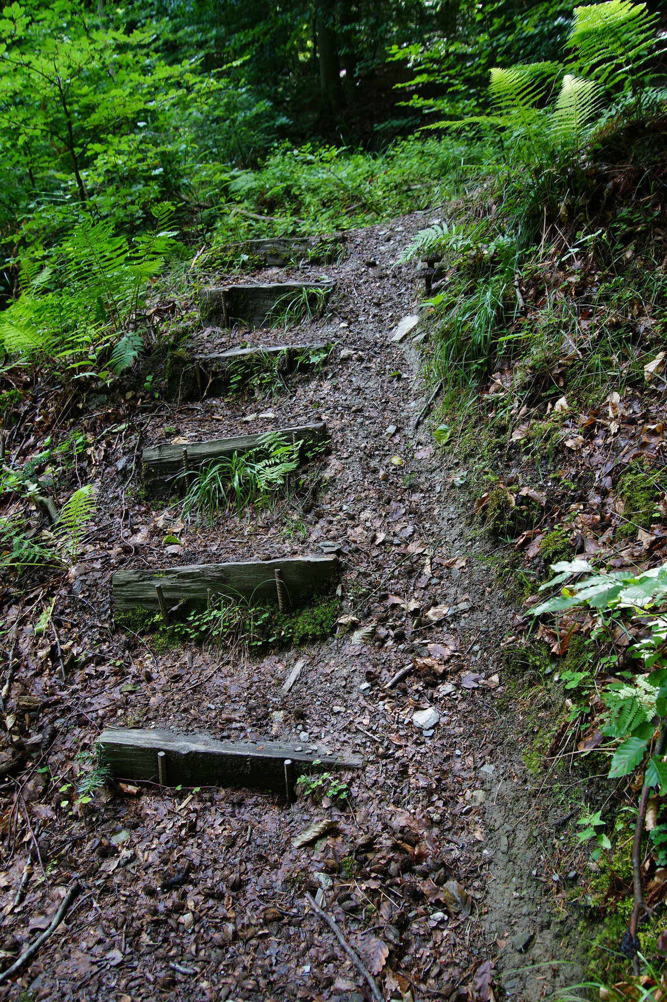 Und nun die Treppen hinauf