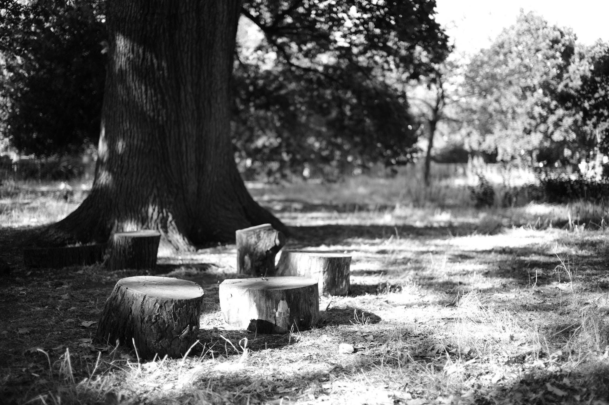Walpole Park, UK, Summilux 35mm
