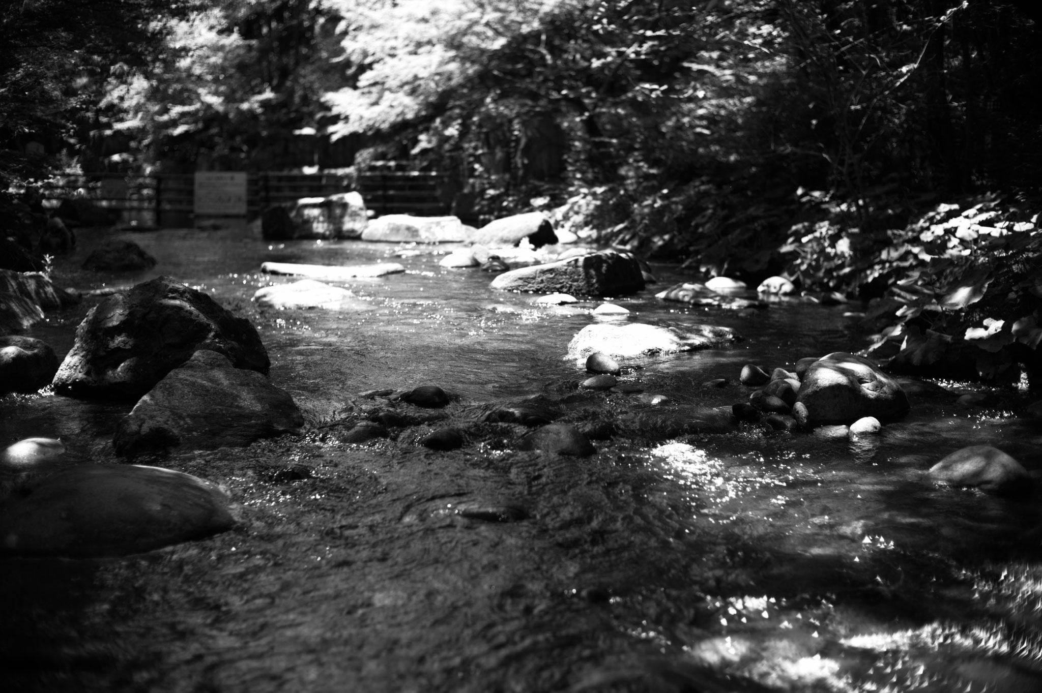 Gifu, JAPAN, Noctilux  50mm