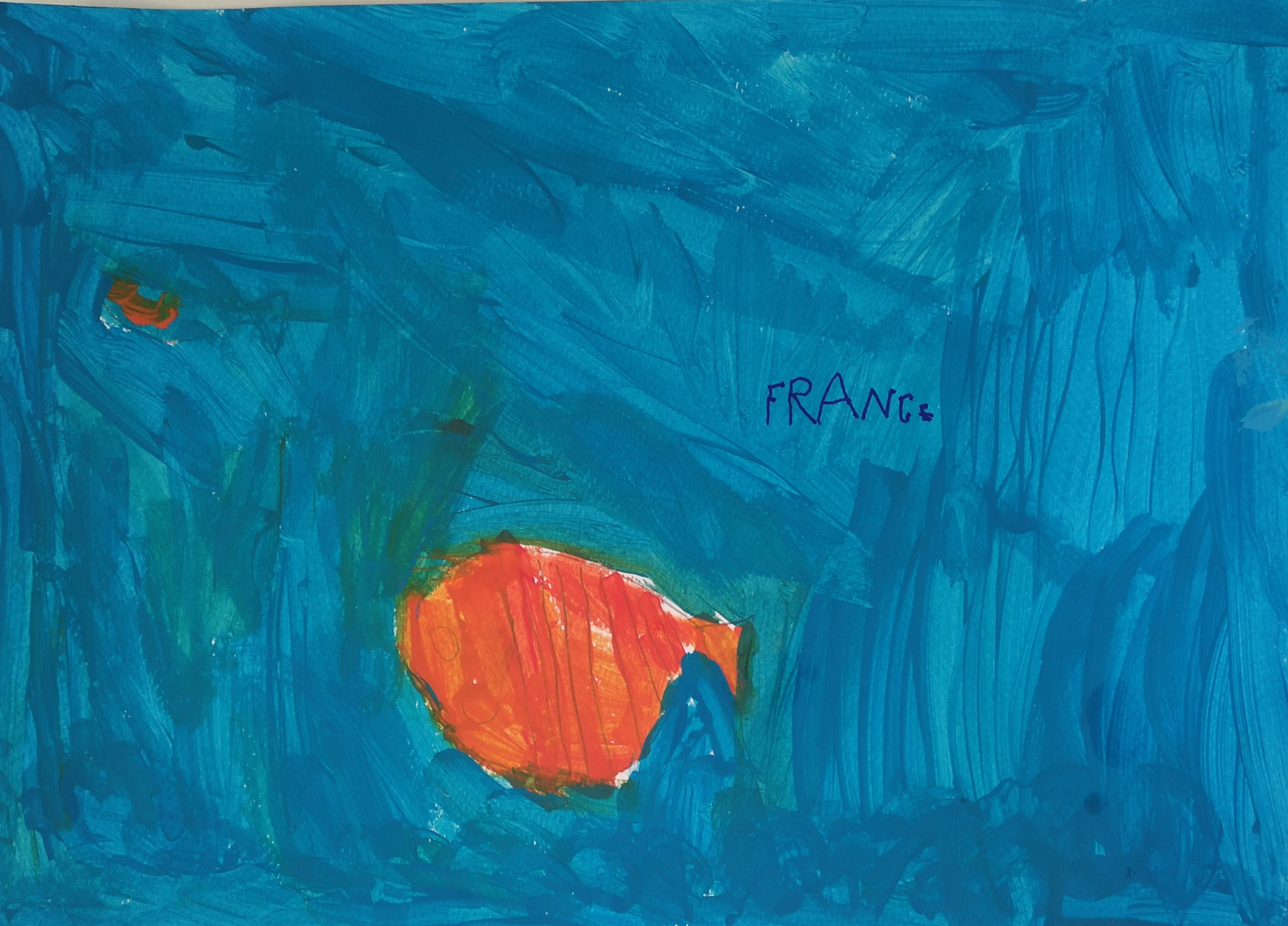 Francesco - 6 anni - "pesci"