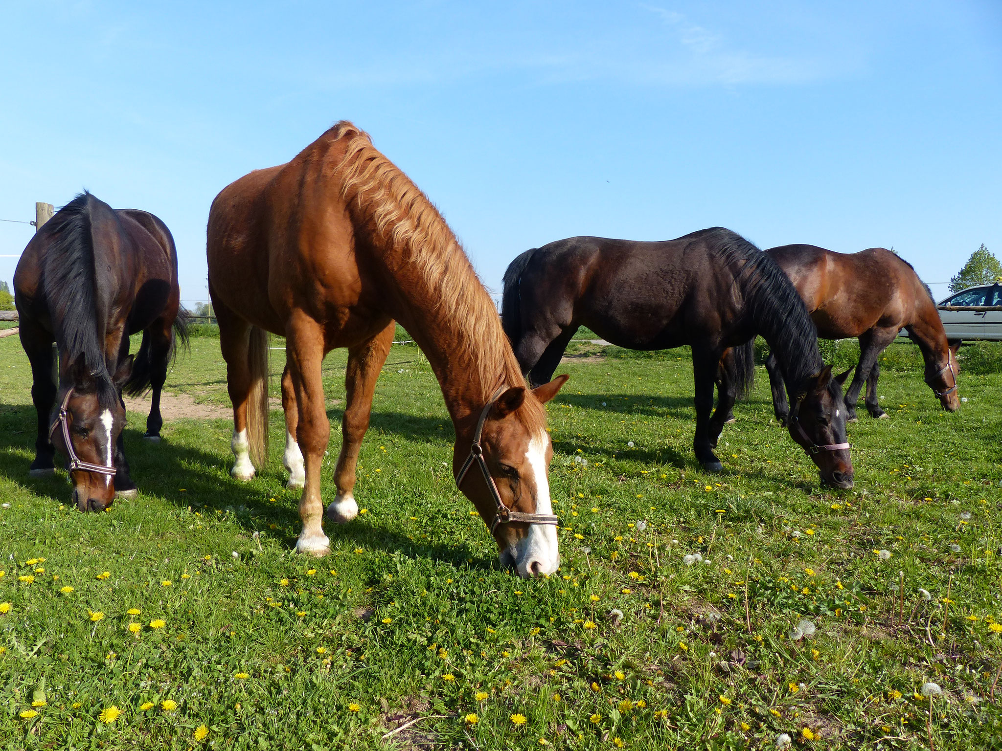 Tiere erleben