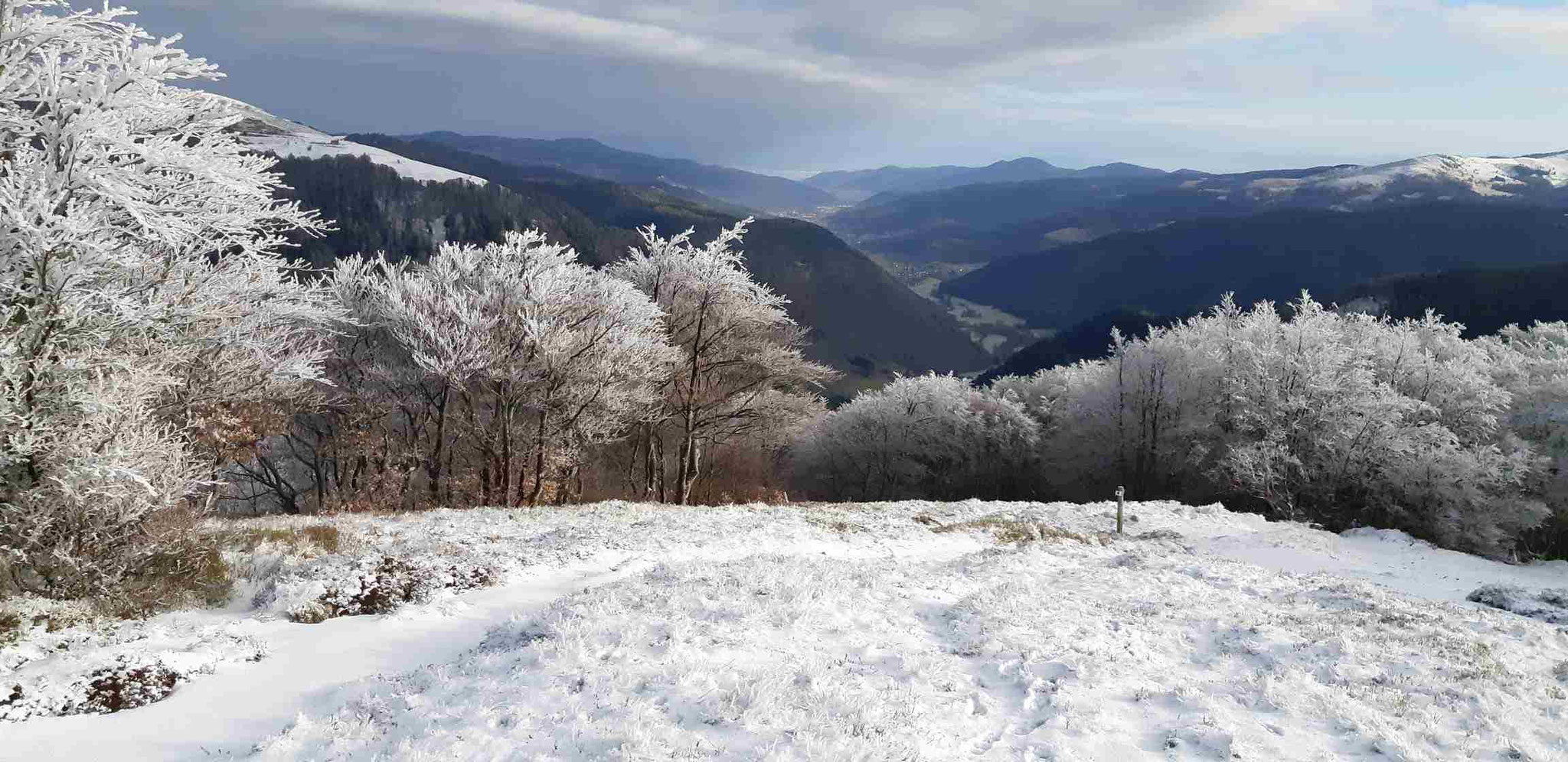 Au coeur des montagnes - Gîte du Grand Pré Metzeral