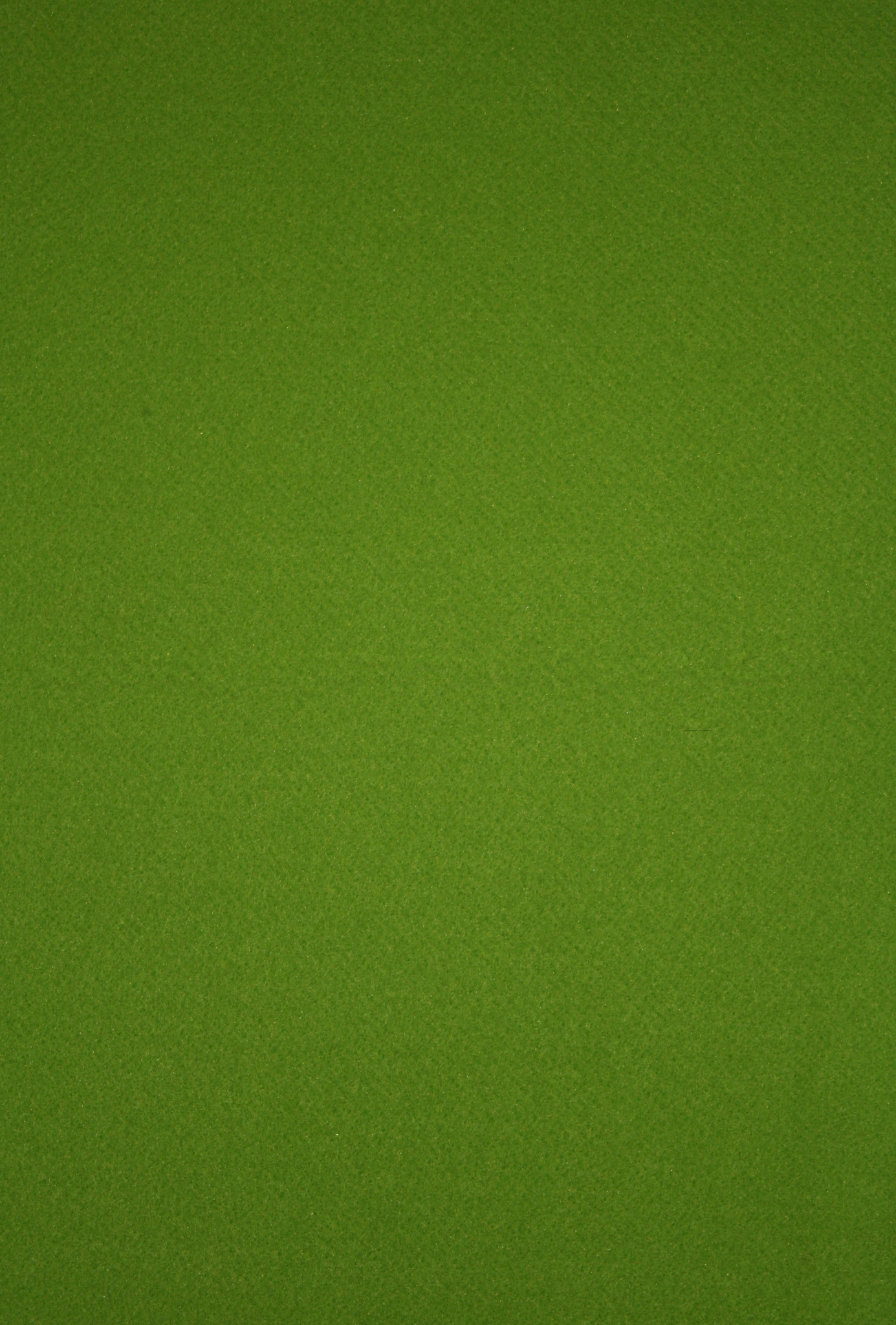 29 Verde
