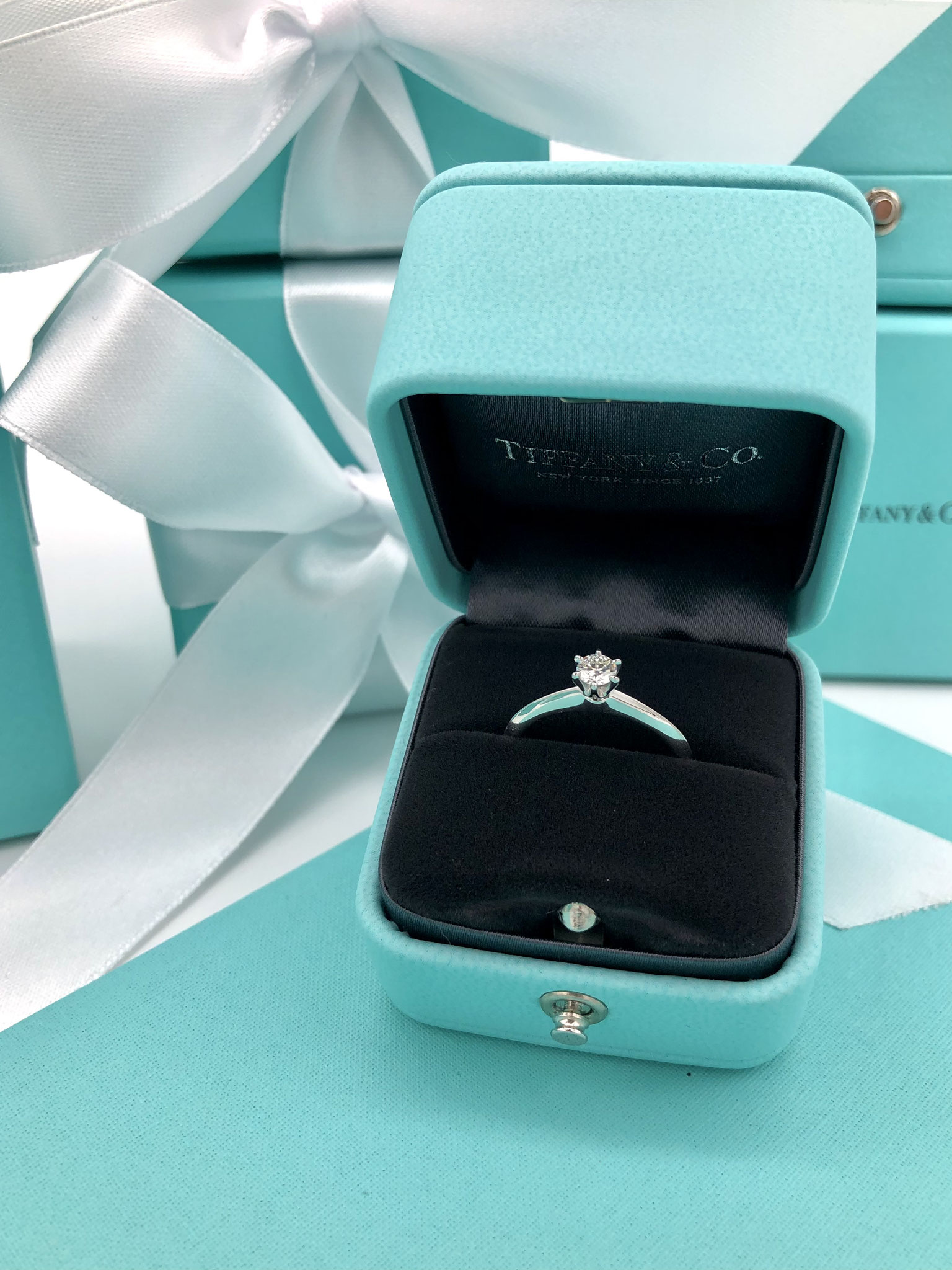 Tiffany&Co. Setting / Jubel Ring