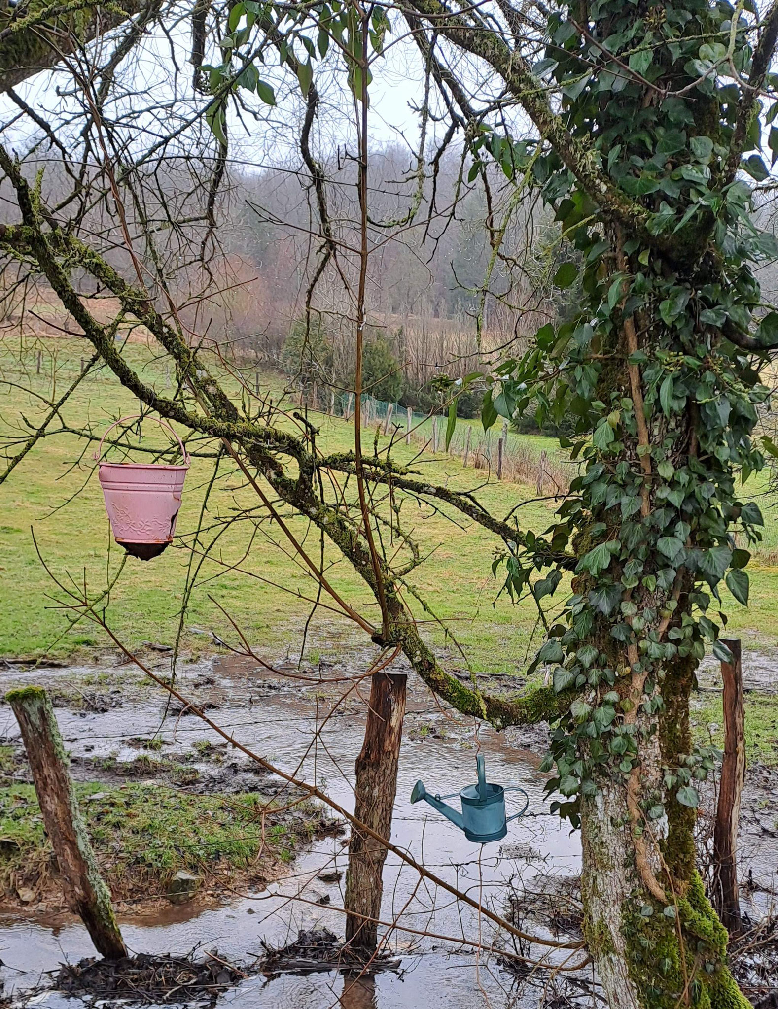 Les décos du Ruisseau de Montigny