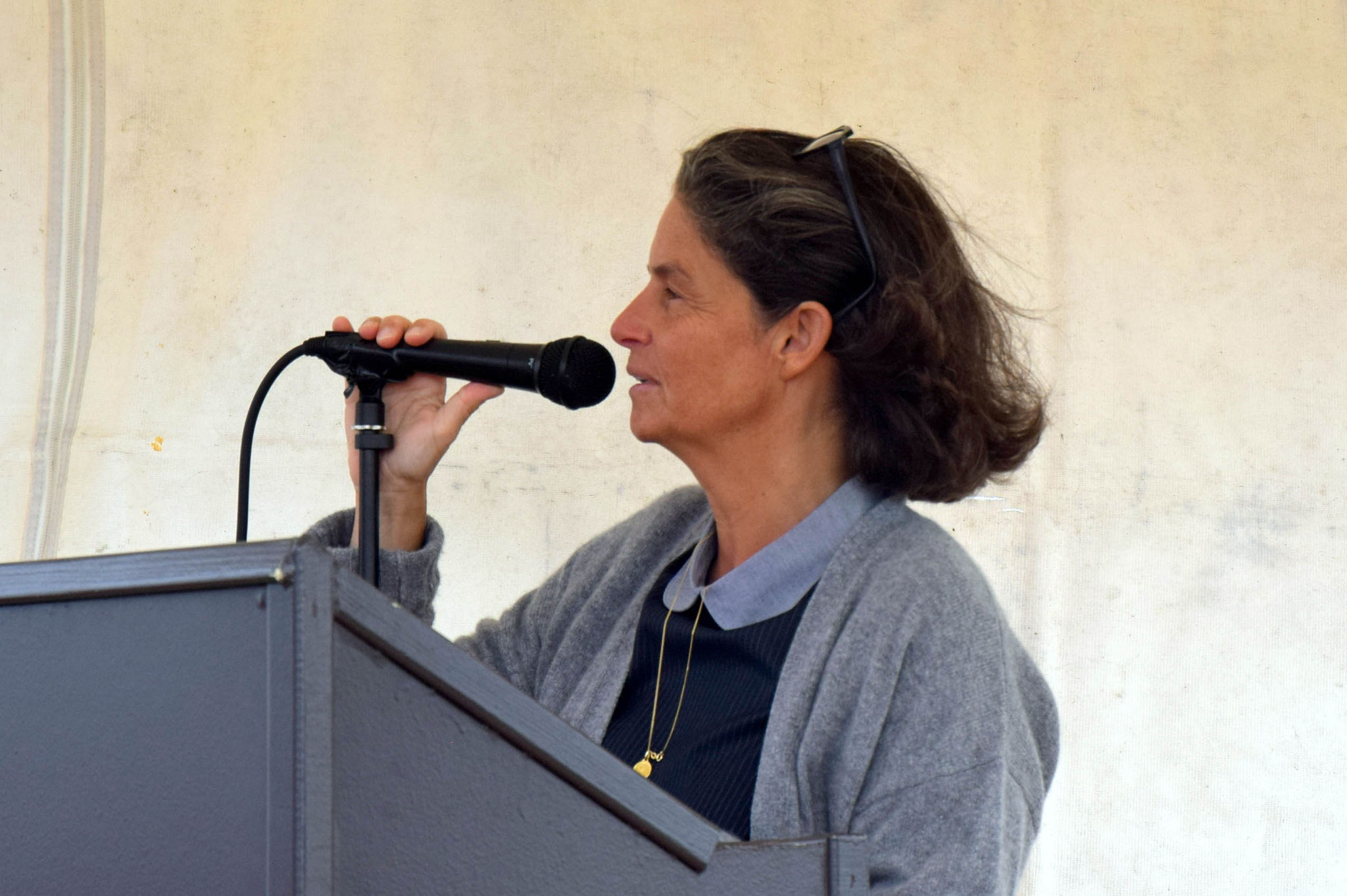 Pauline Martin, vice-présidente du conseil départemental