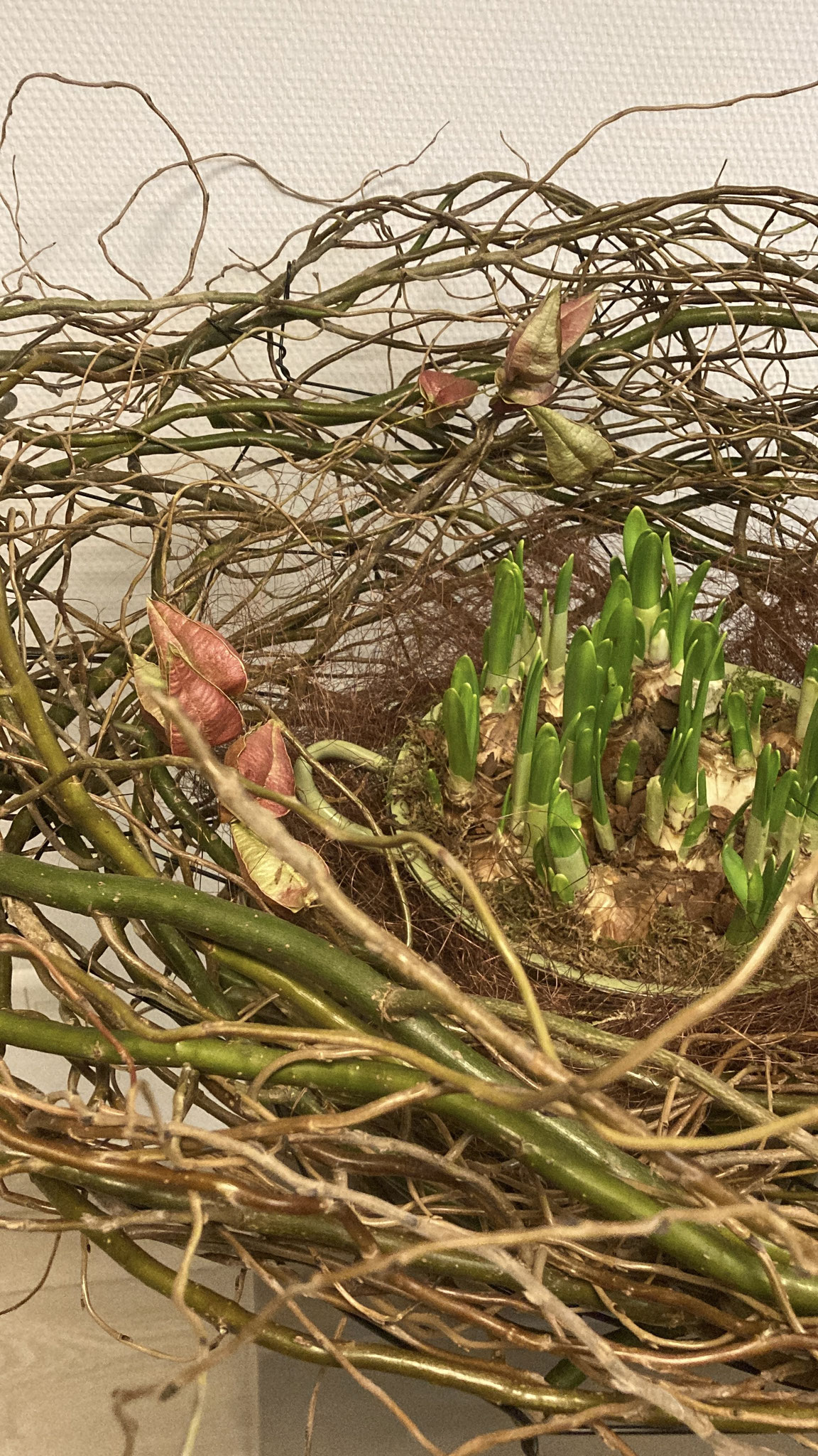 Springtime